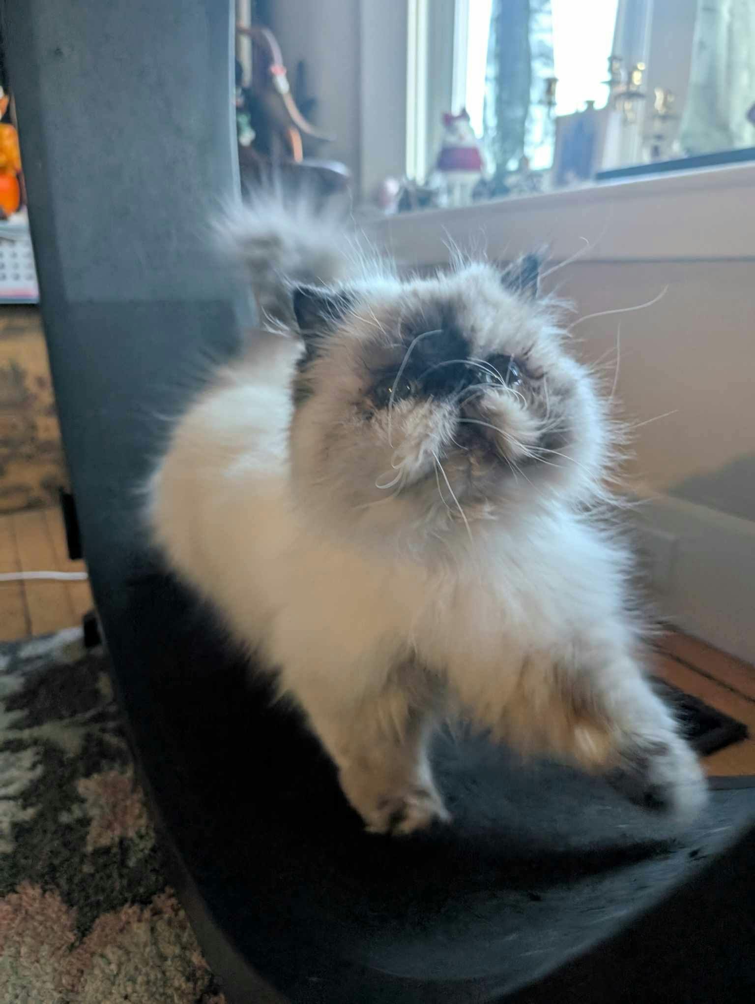 user avatar image for Kimberly Jung