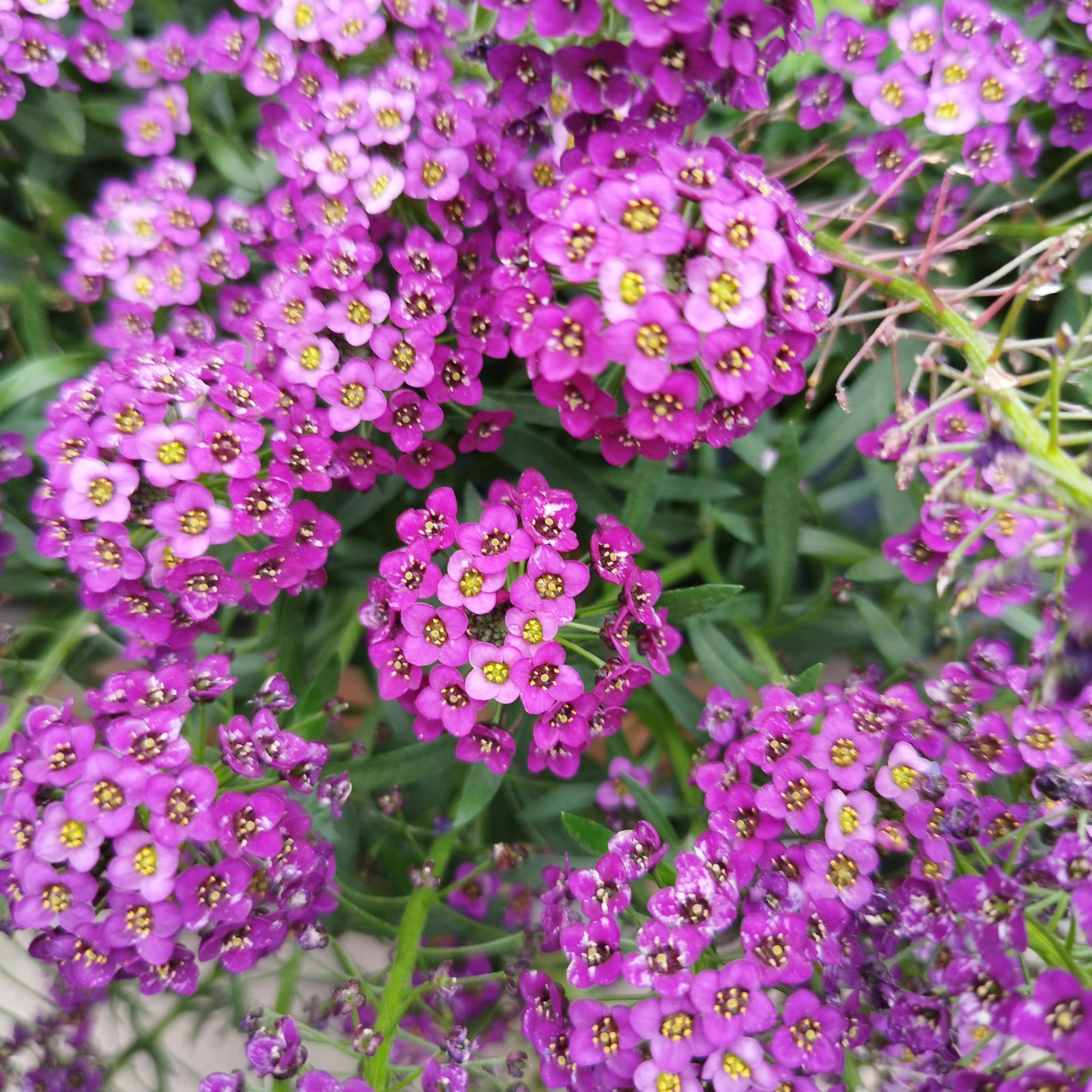 user avatar image for Nadya Houston