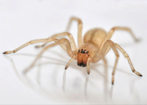 user avatar image for Tobias Trill