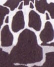 user avatar image for Shadowblaze