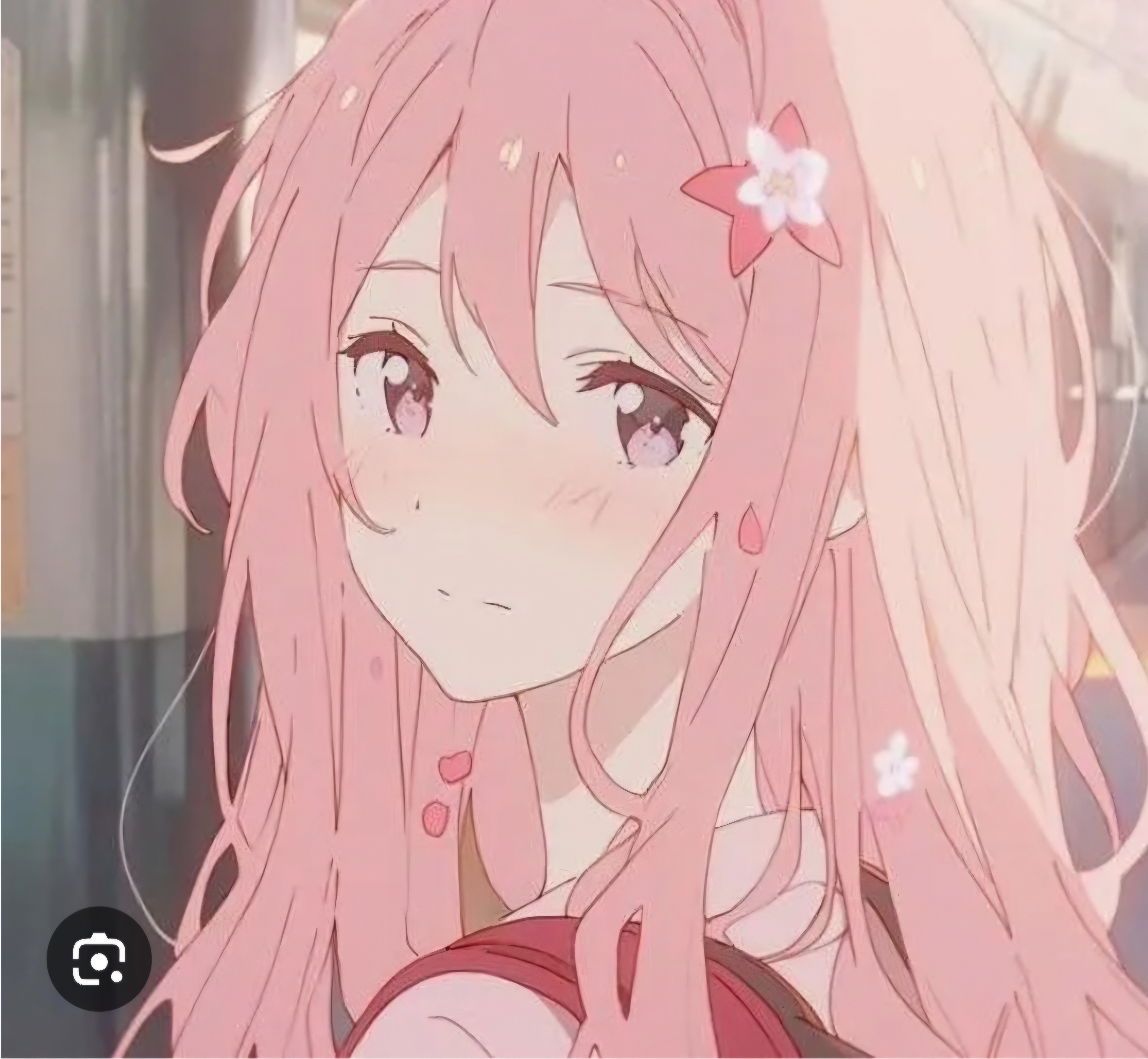 user avatar image for Cintia