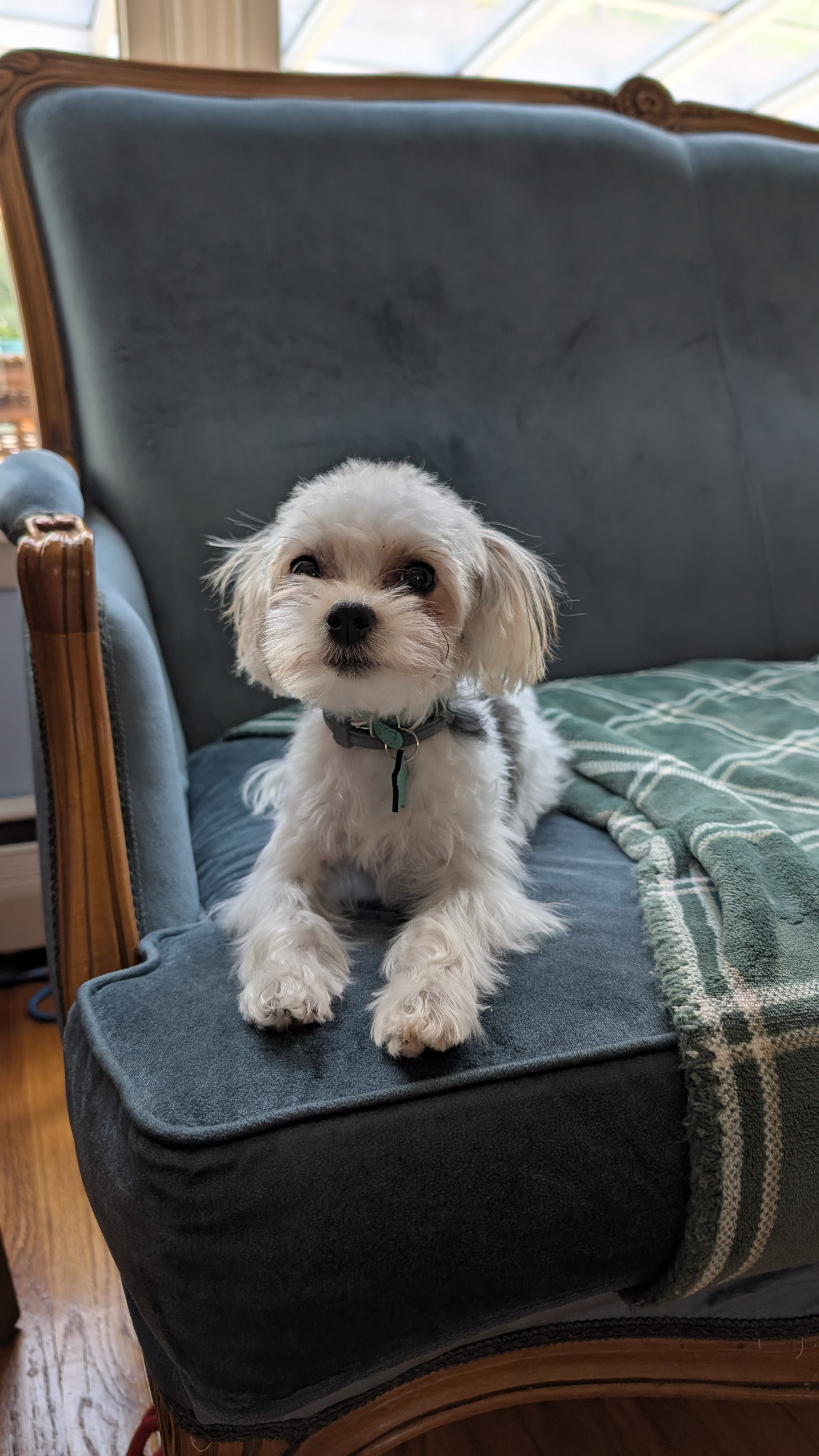 user avatar image for Edgewater 