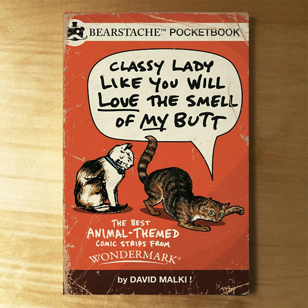 BOOK: Classy Lady Like You...