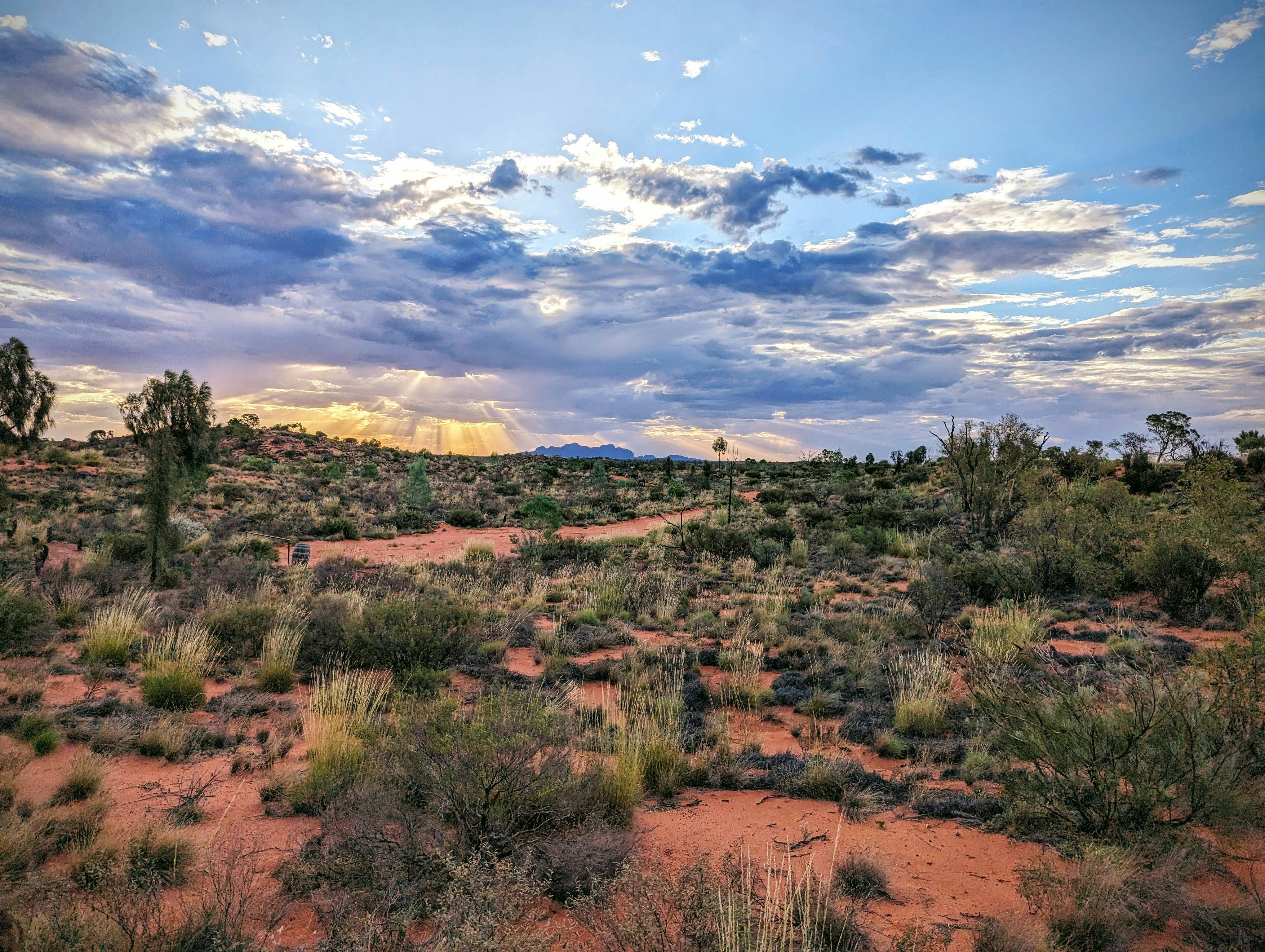 user avatar image for Joseph Jones