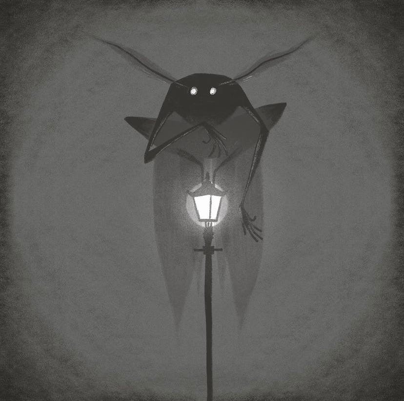 user avatar image for Jess