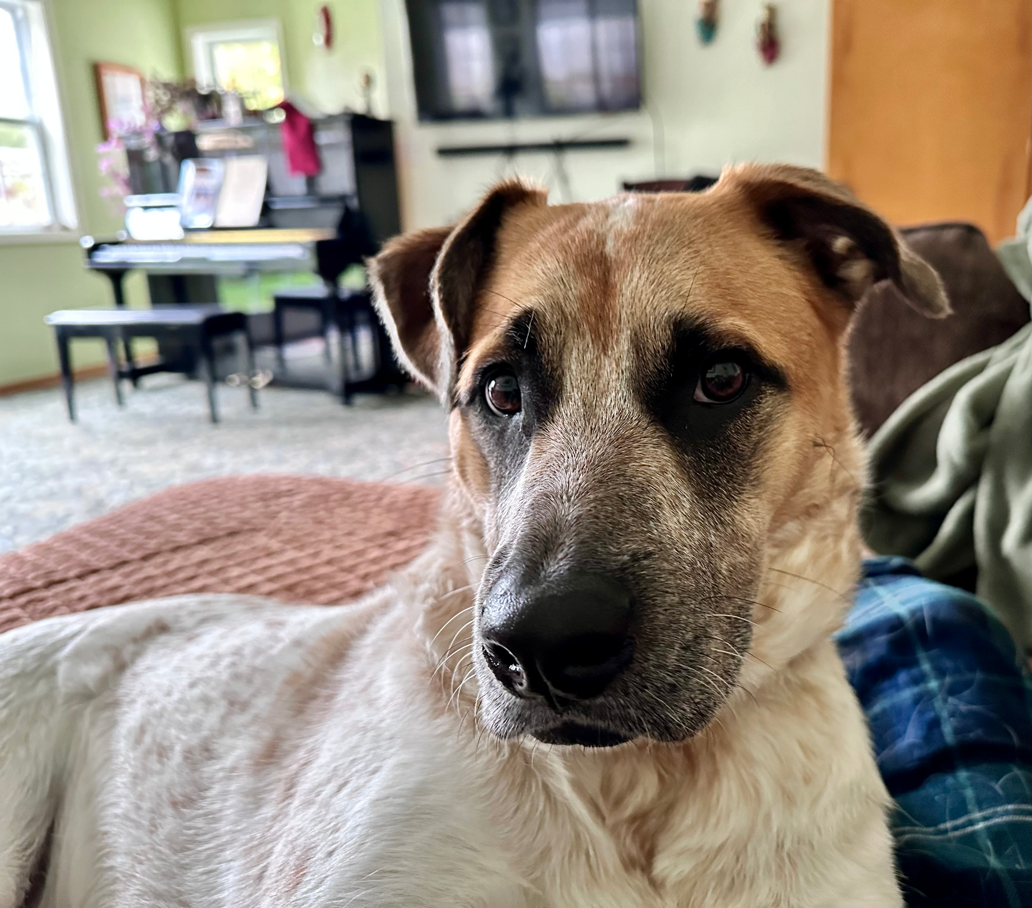 user avatar image for Audrey G