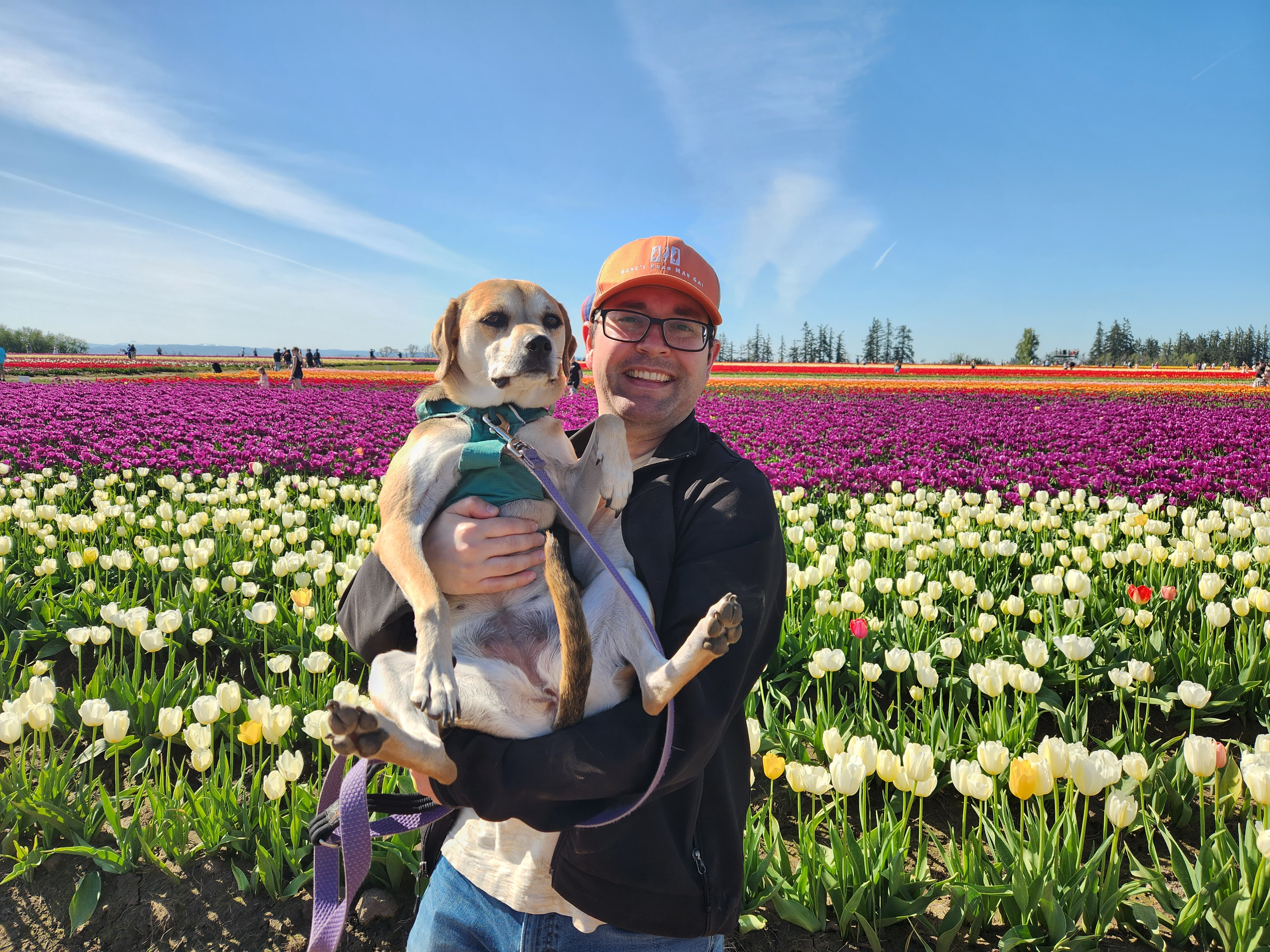 user avatar image for Scott Werley