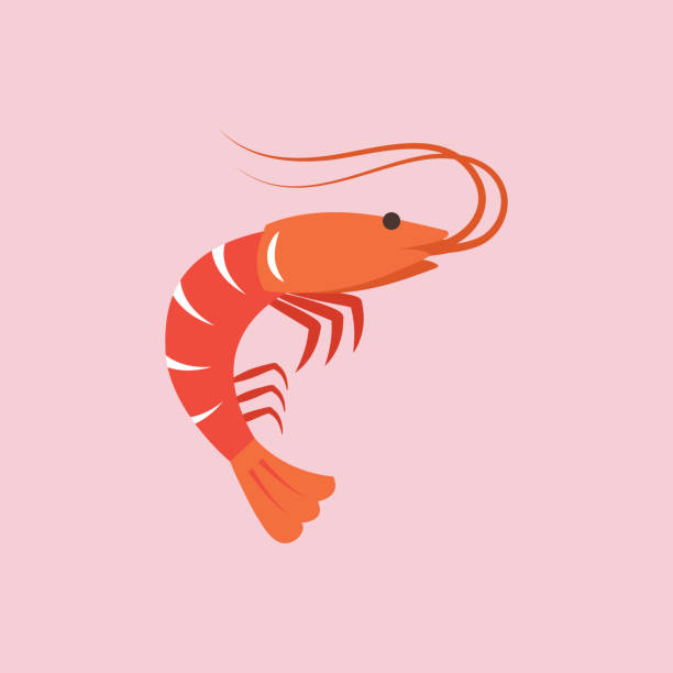 user avatar image for Steven Nelson