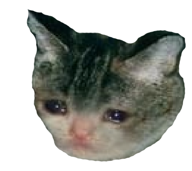 user avatar image for Ari
