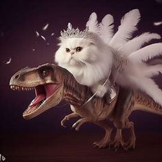 user avatar image for ZC