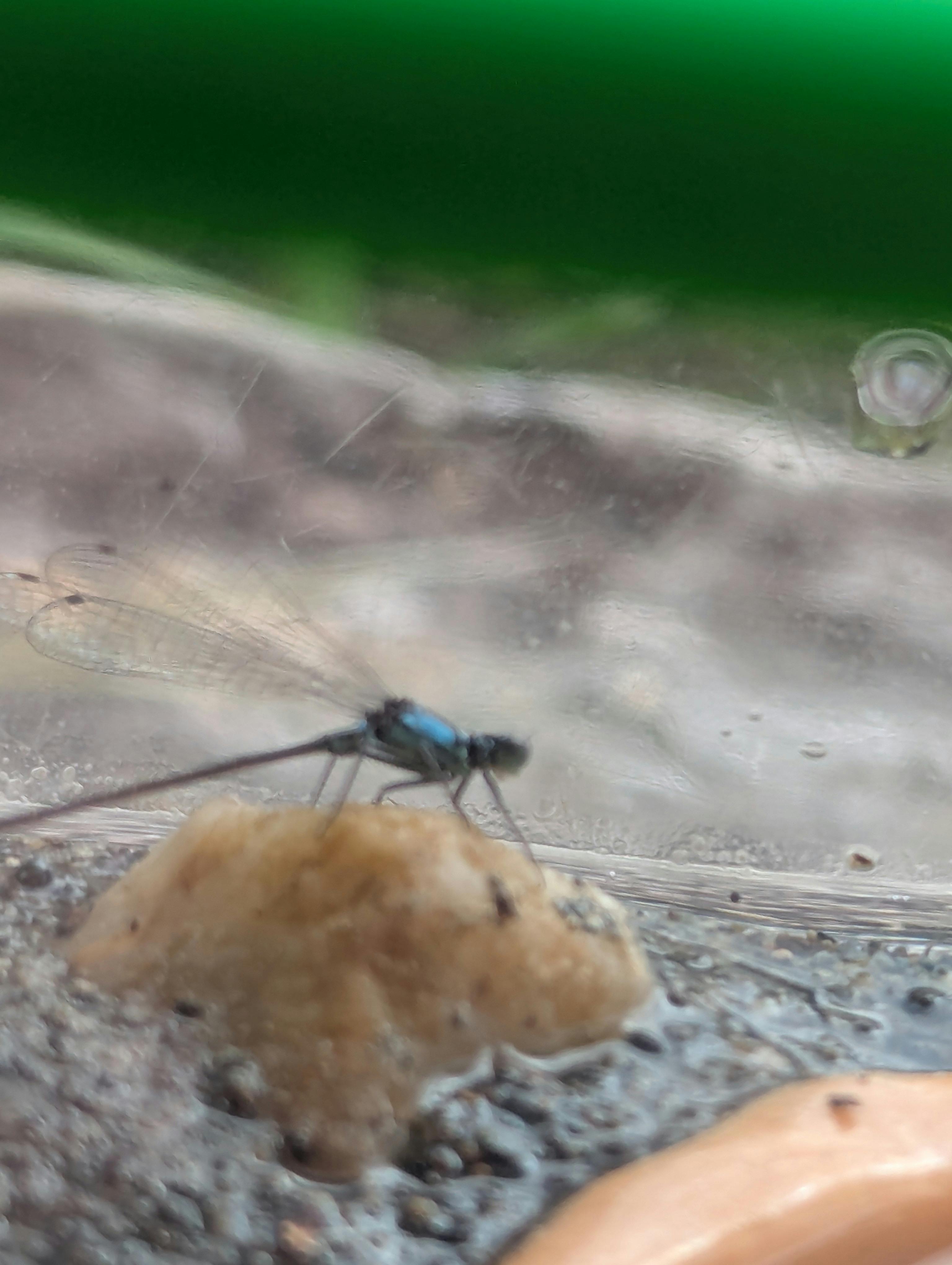 user avatar image for Stephanie Breiding