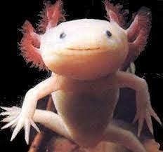 user avatar image for Annika