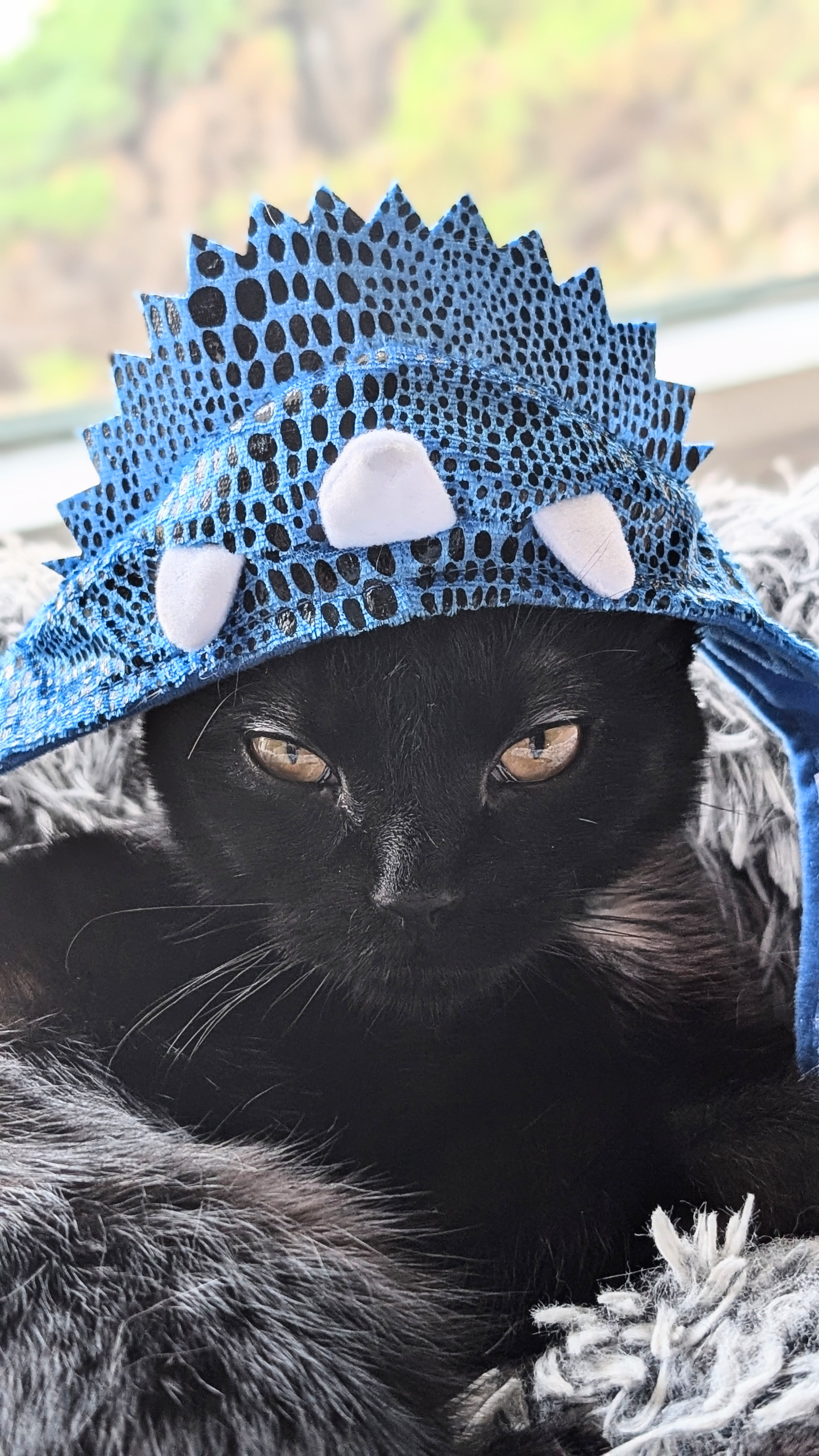 user avatar image for Lauren Krauss