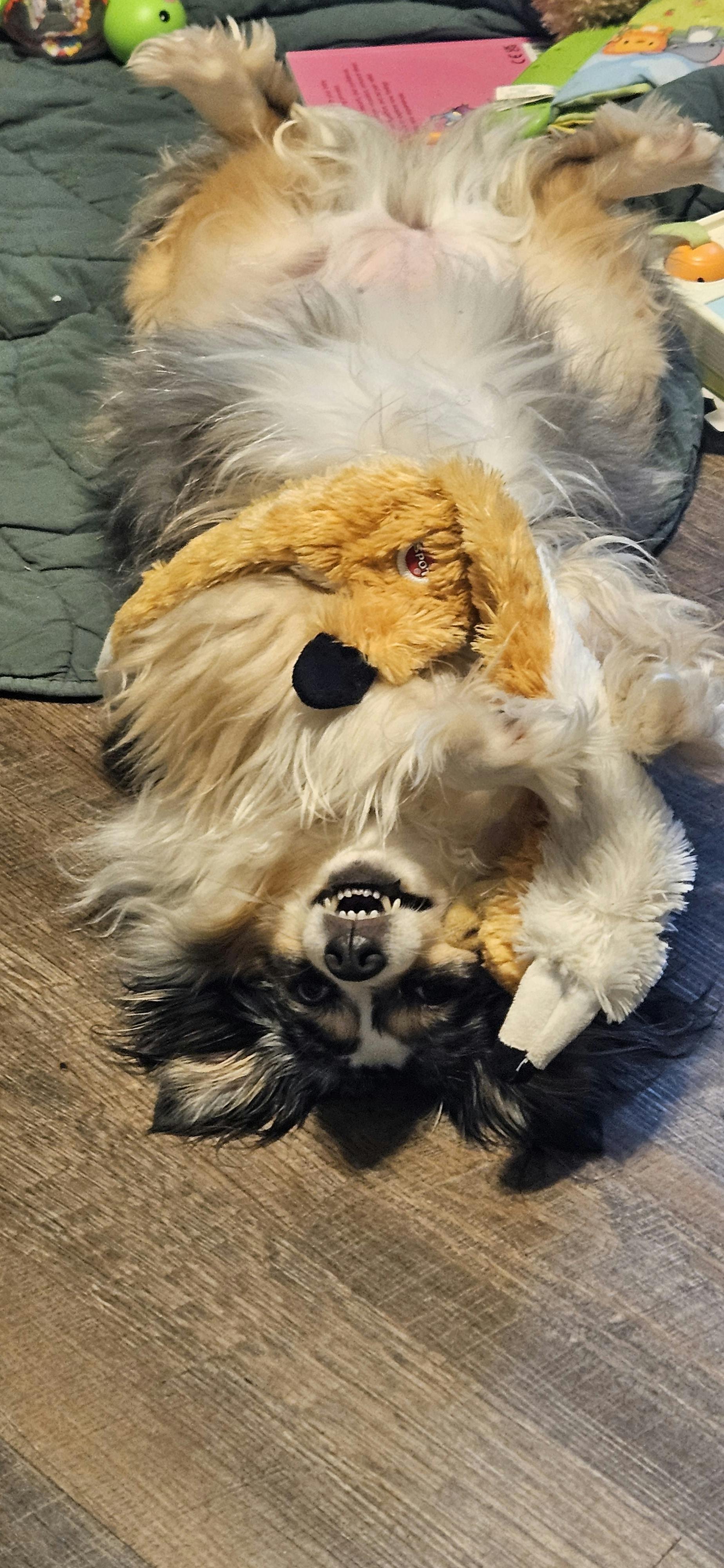 user avatar image for Sarai M