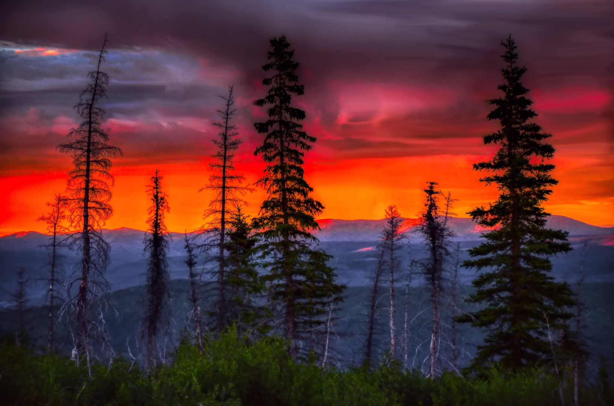 user avatar image for Jennifer johnston