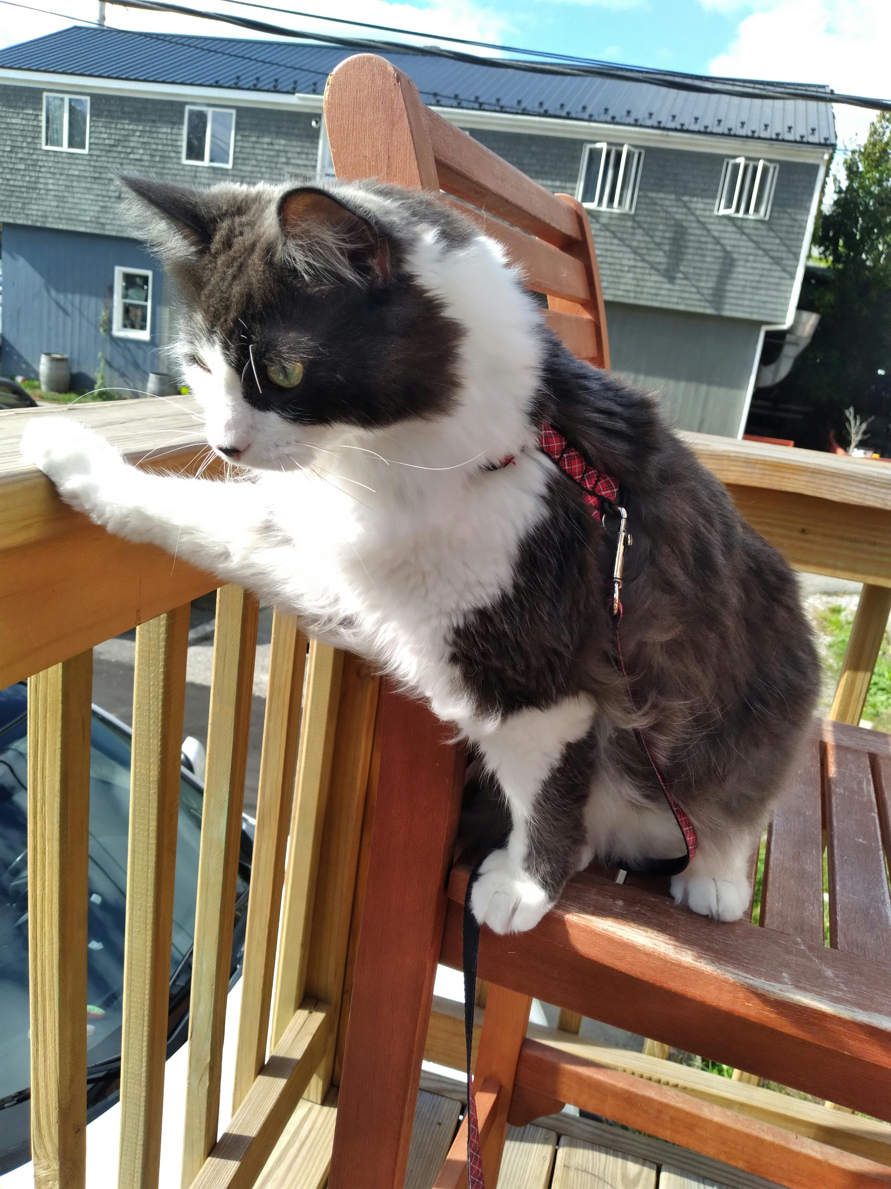 user avatar image for Kayla