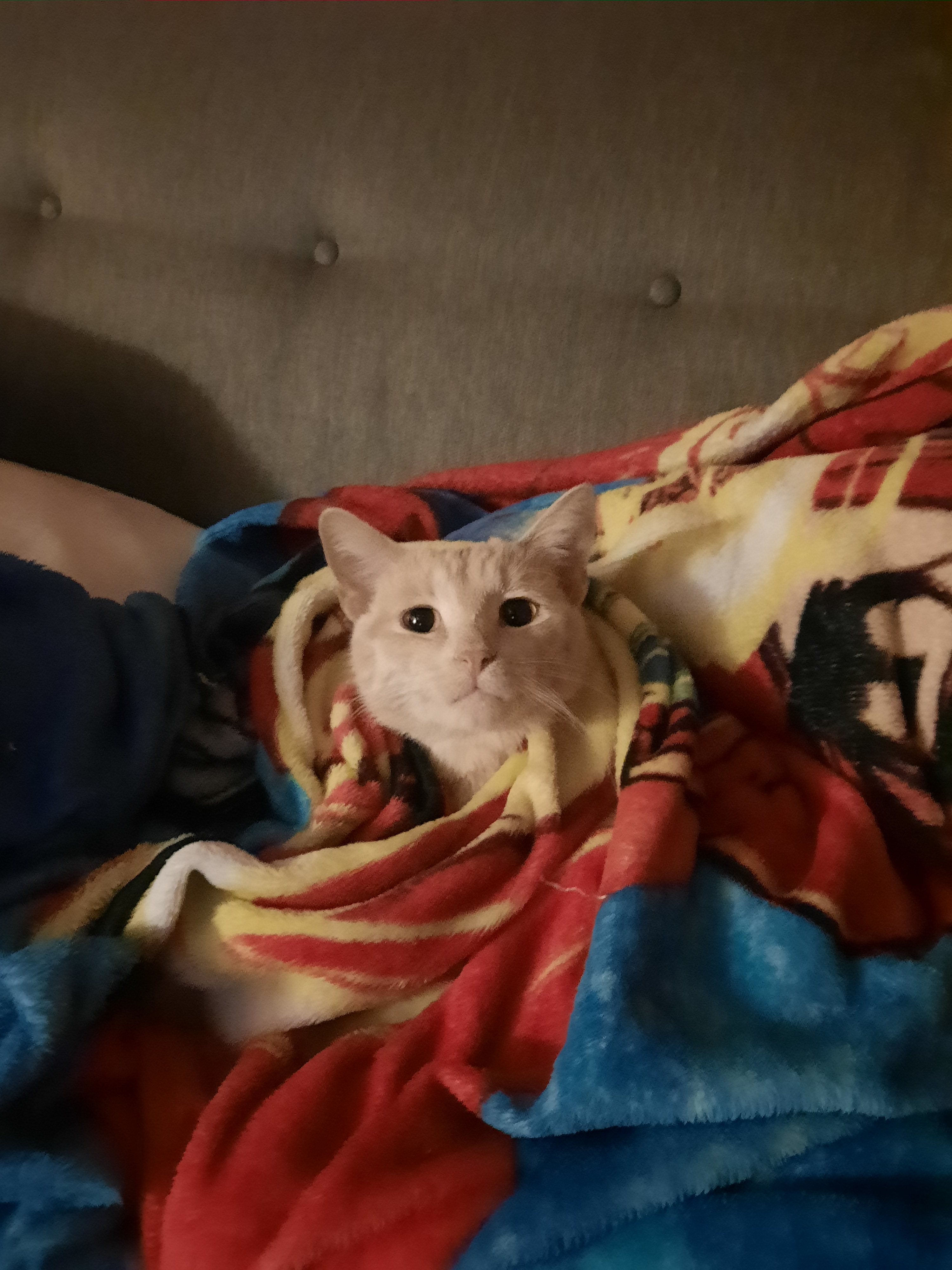 user avatar image for Crash