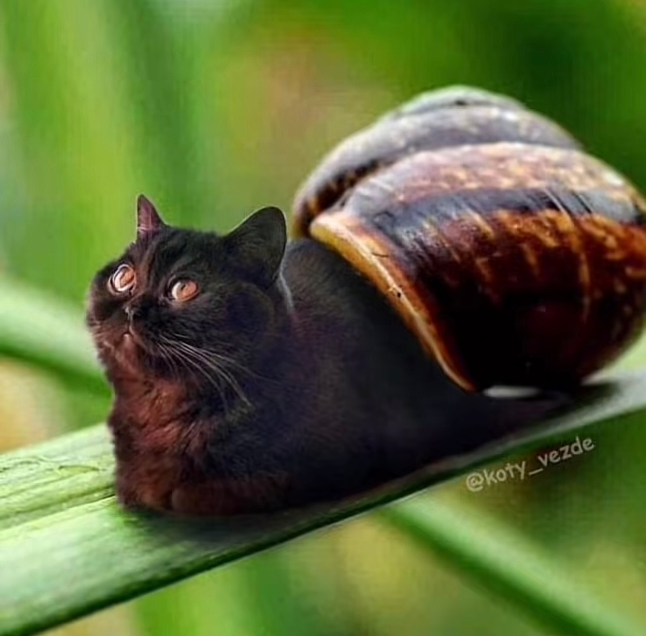 user avatar image for Dallas