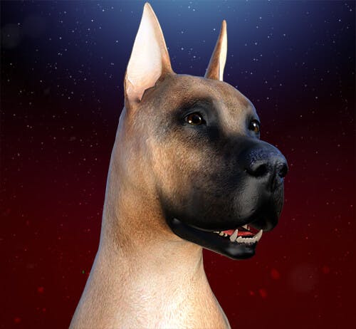 user avatar image for Titan Dragon Gaming