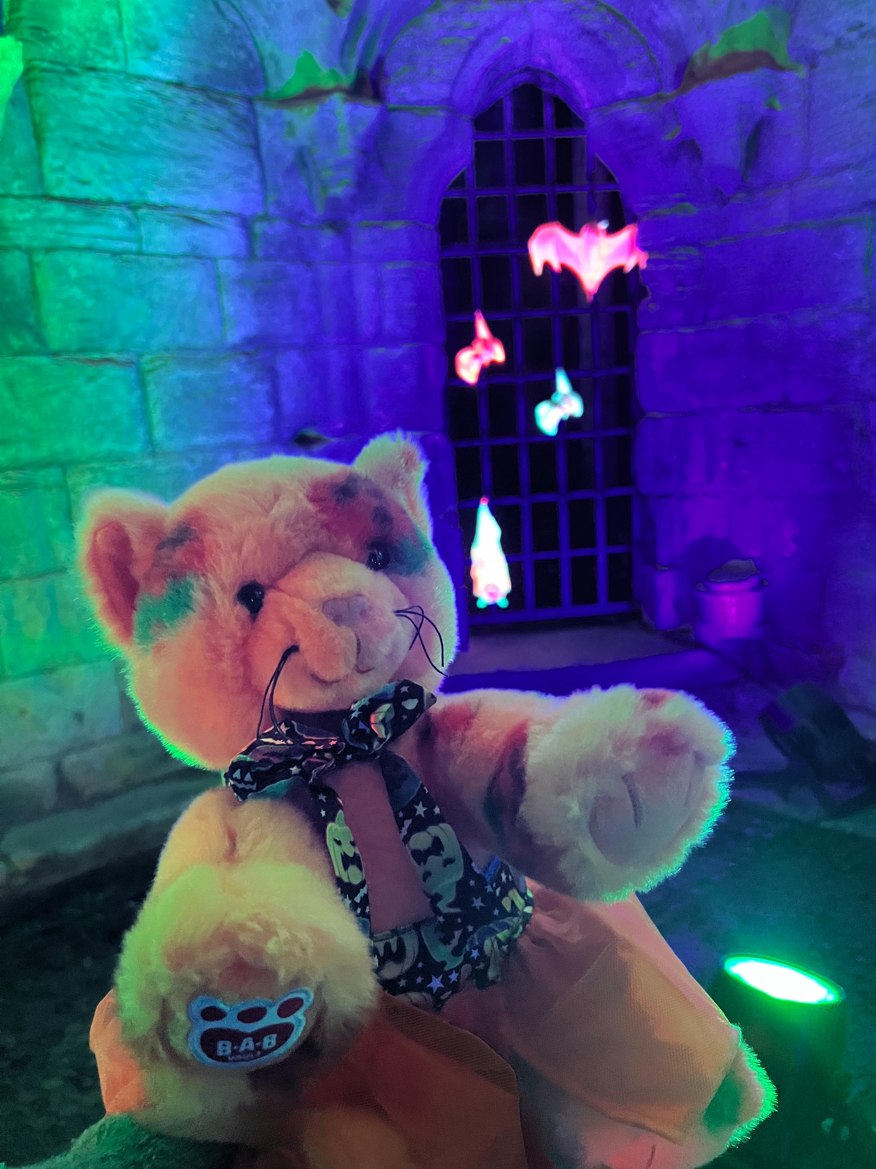 user avatar image for Emily