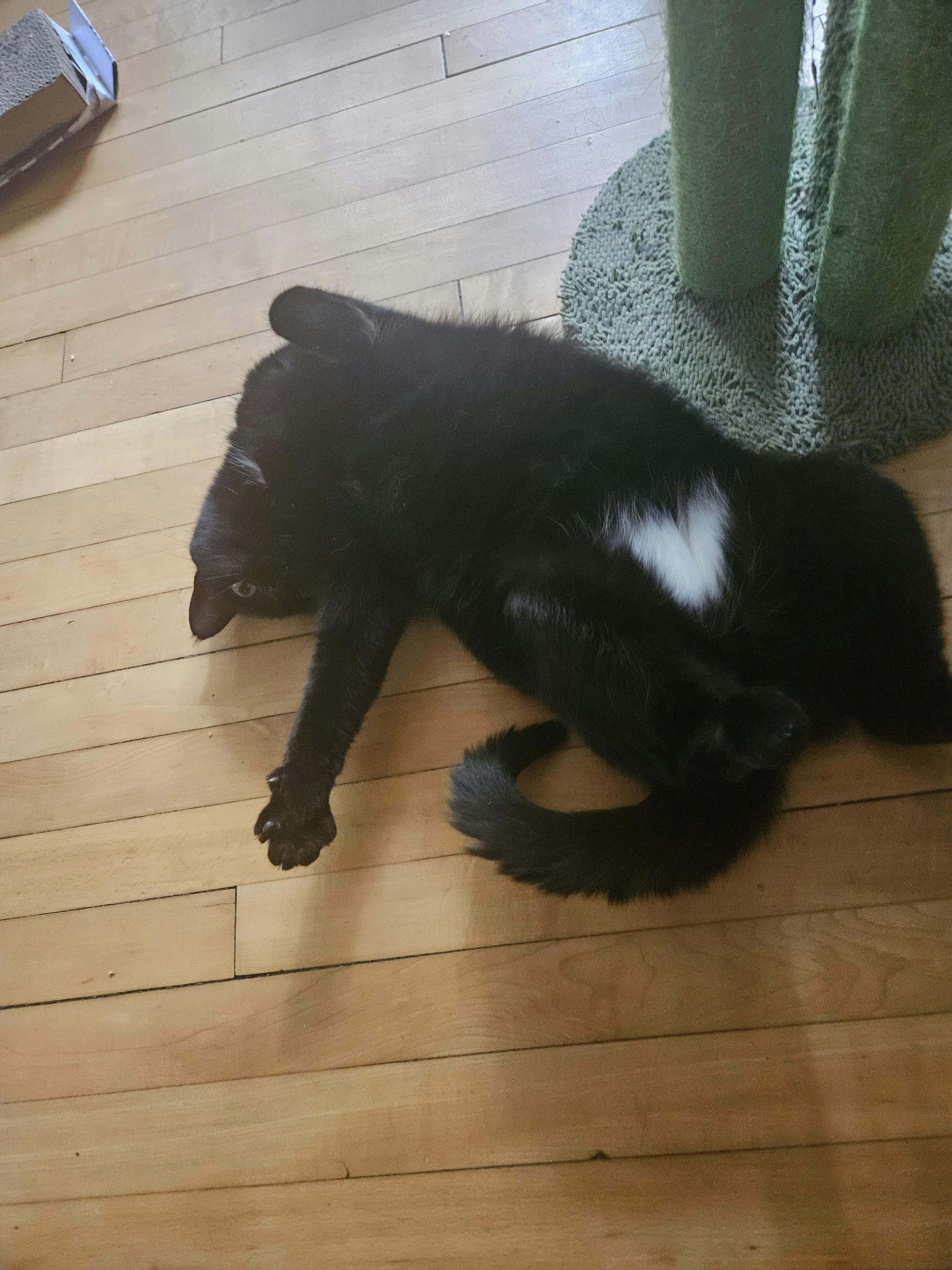 user avatar image for Phinn 