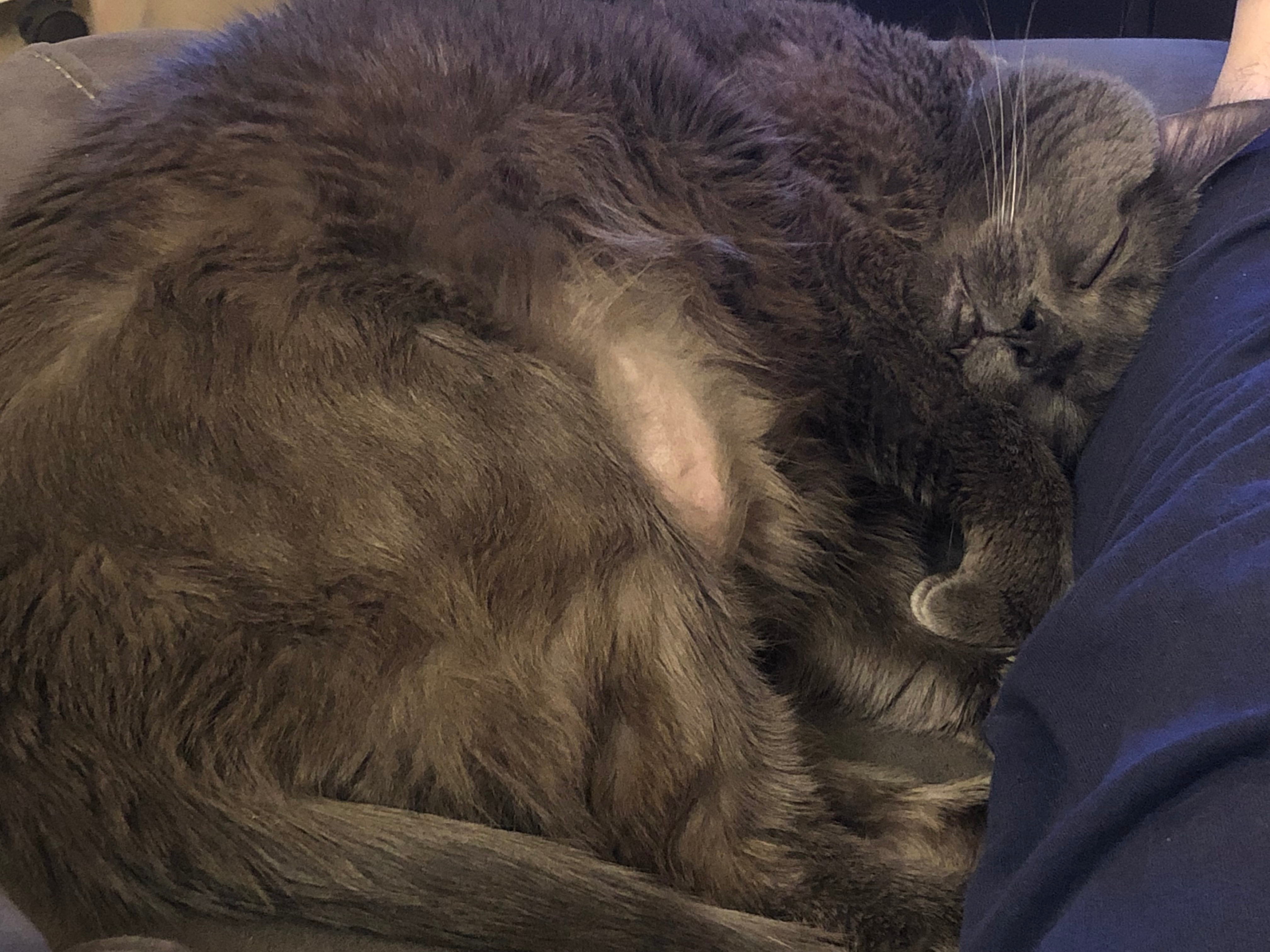 user avatar image for MacGuyverbond