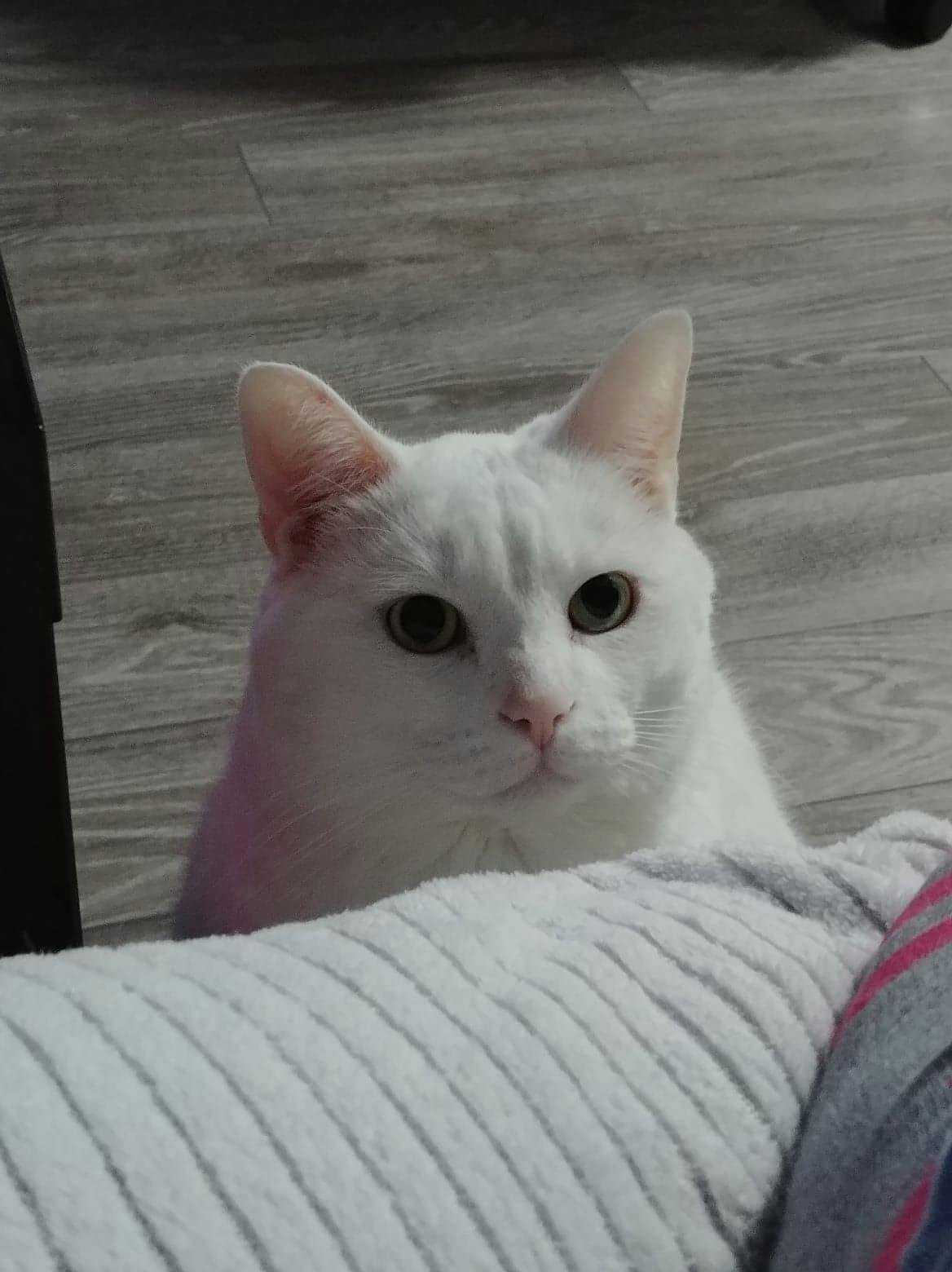 user avatar image for Maryka