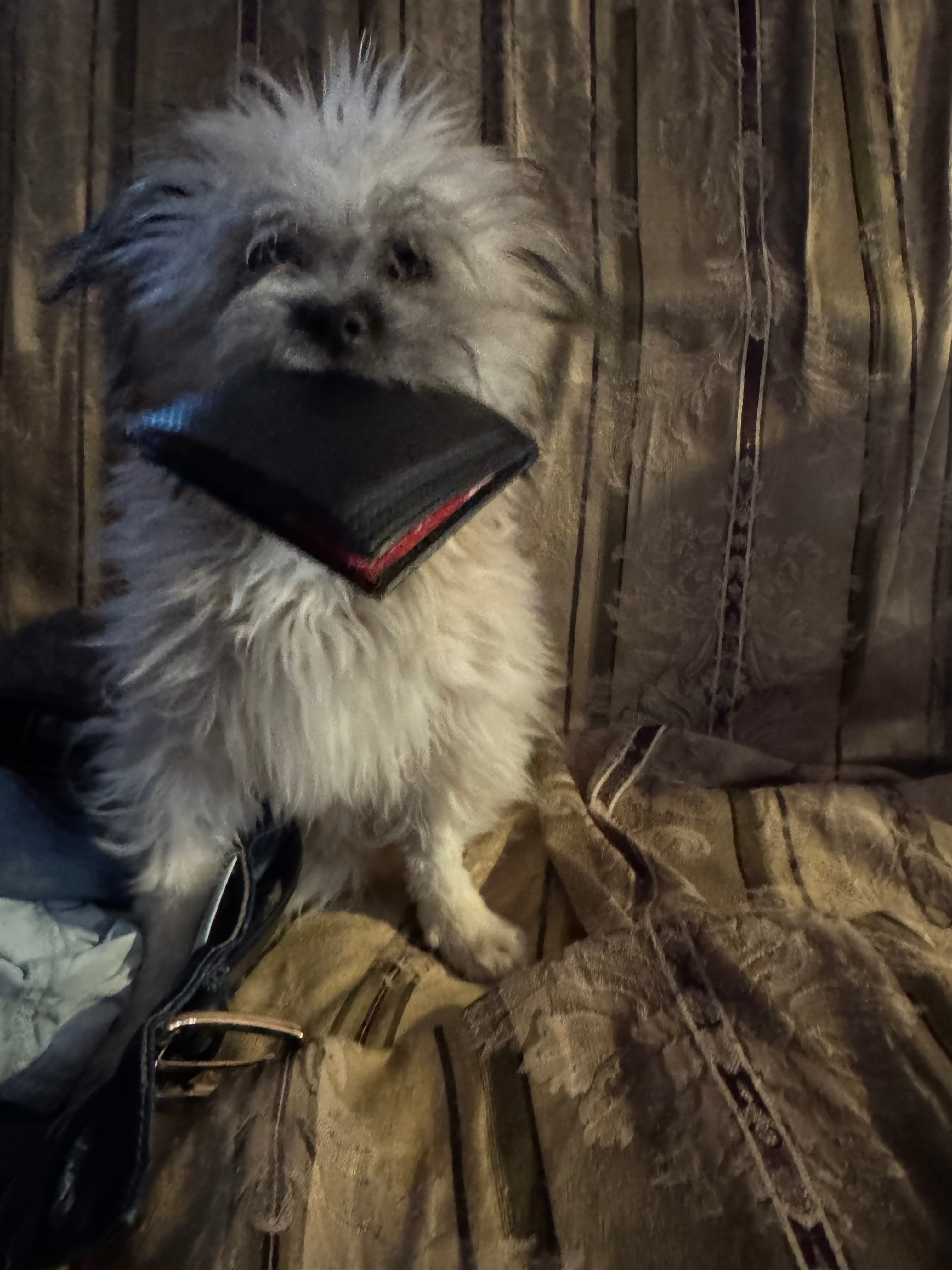 user avatar image for Lady