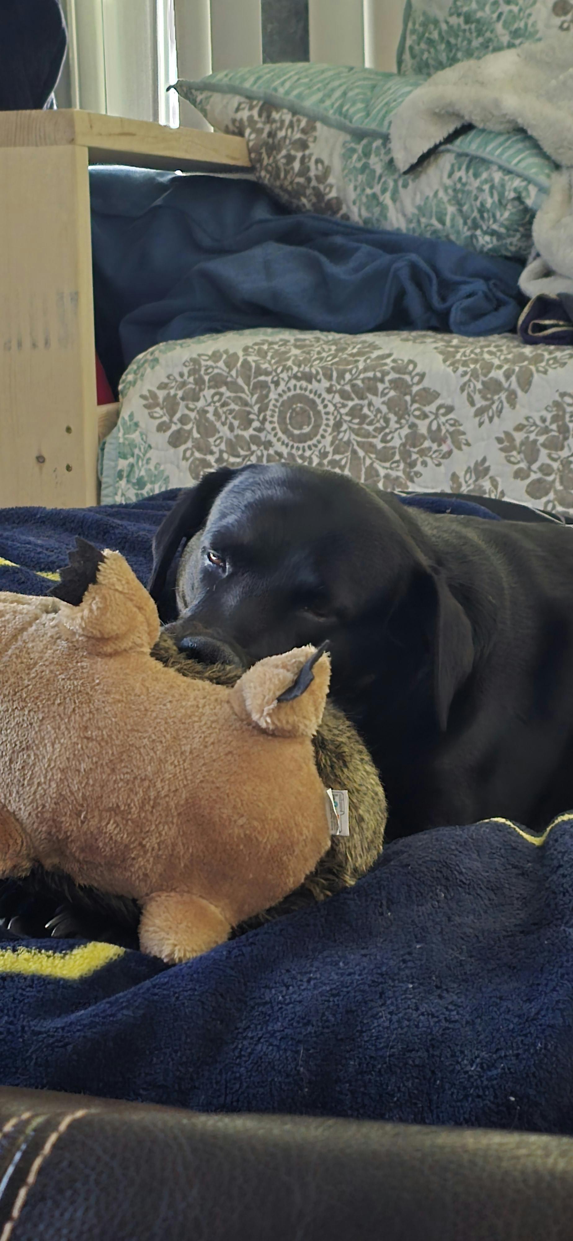 user avatar image for Katherine