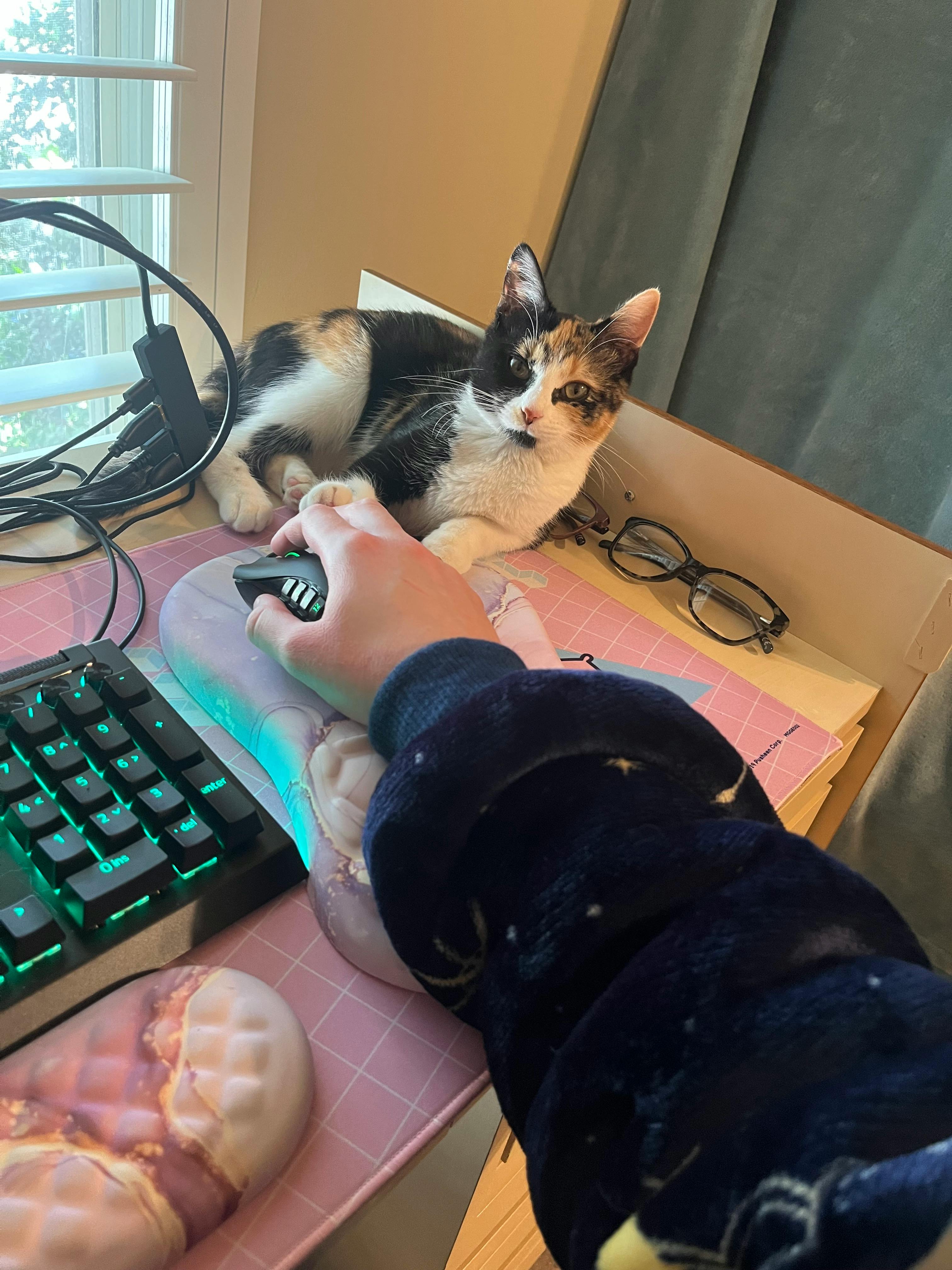 user avatar image for Hannah Peterson