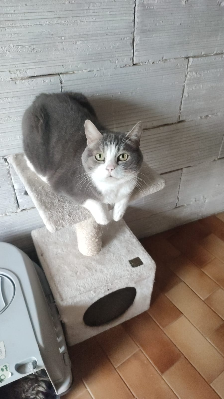 user avatar image for Tamsin 