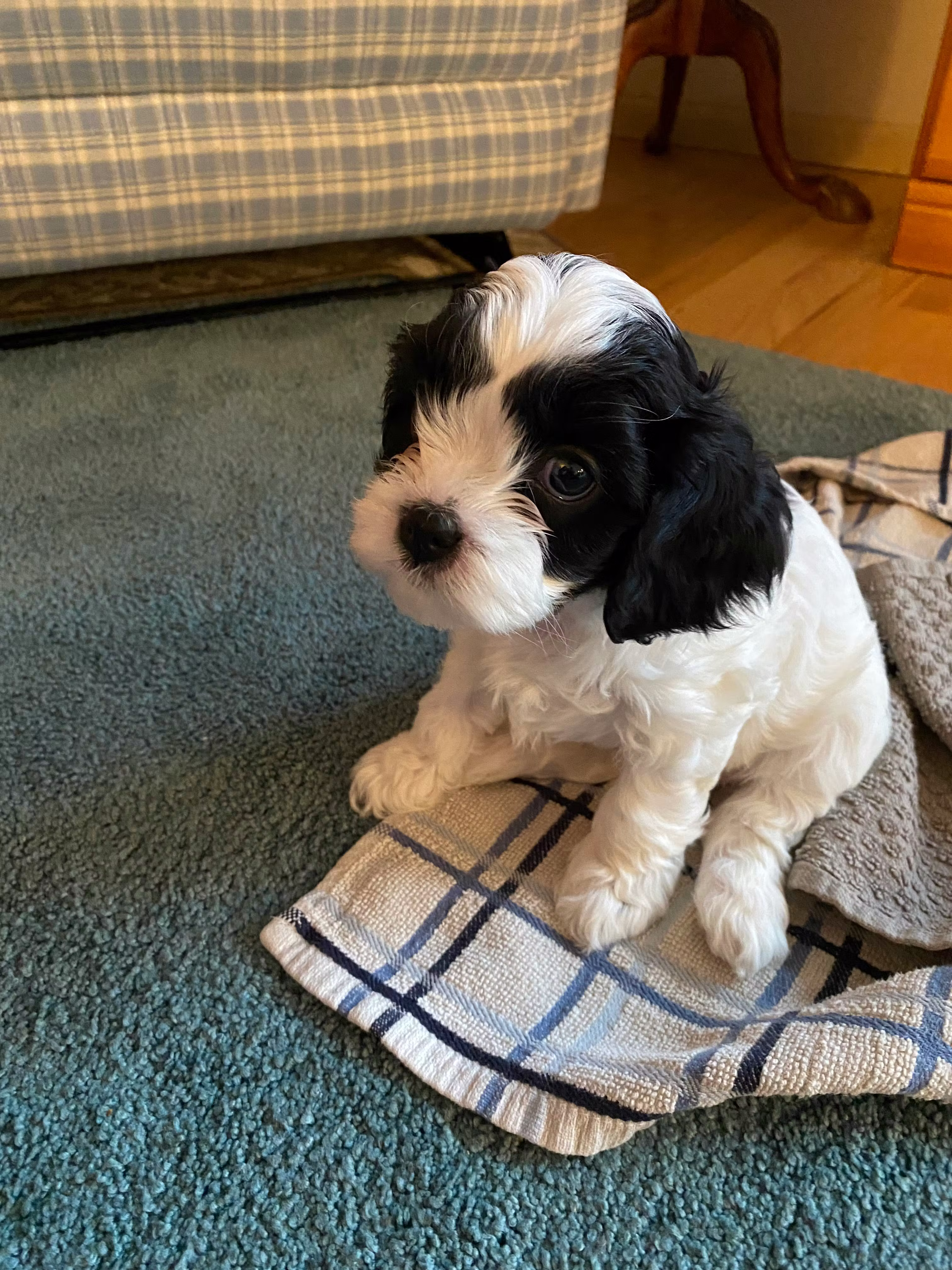 user avatar image for Christina