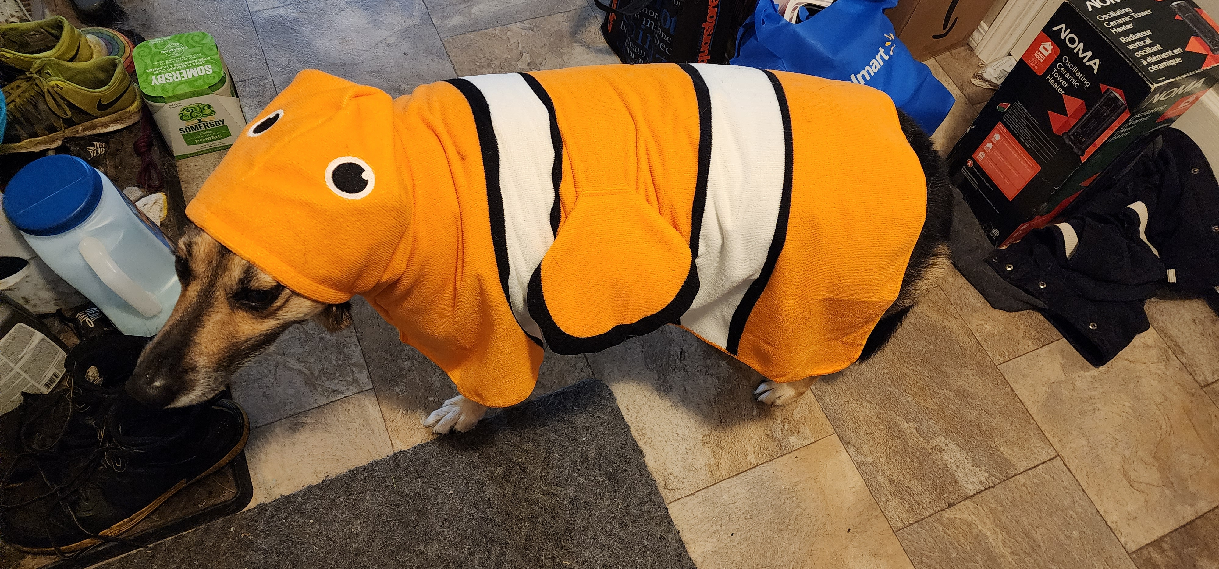 user avatar image for Nic