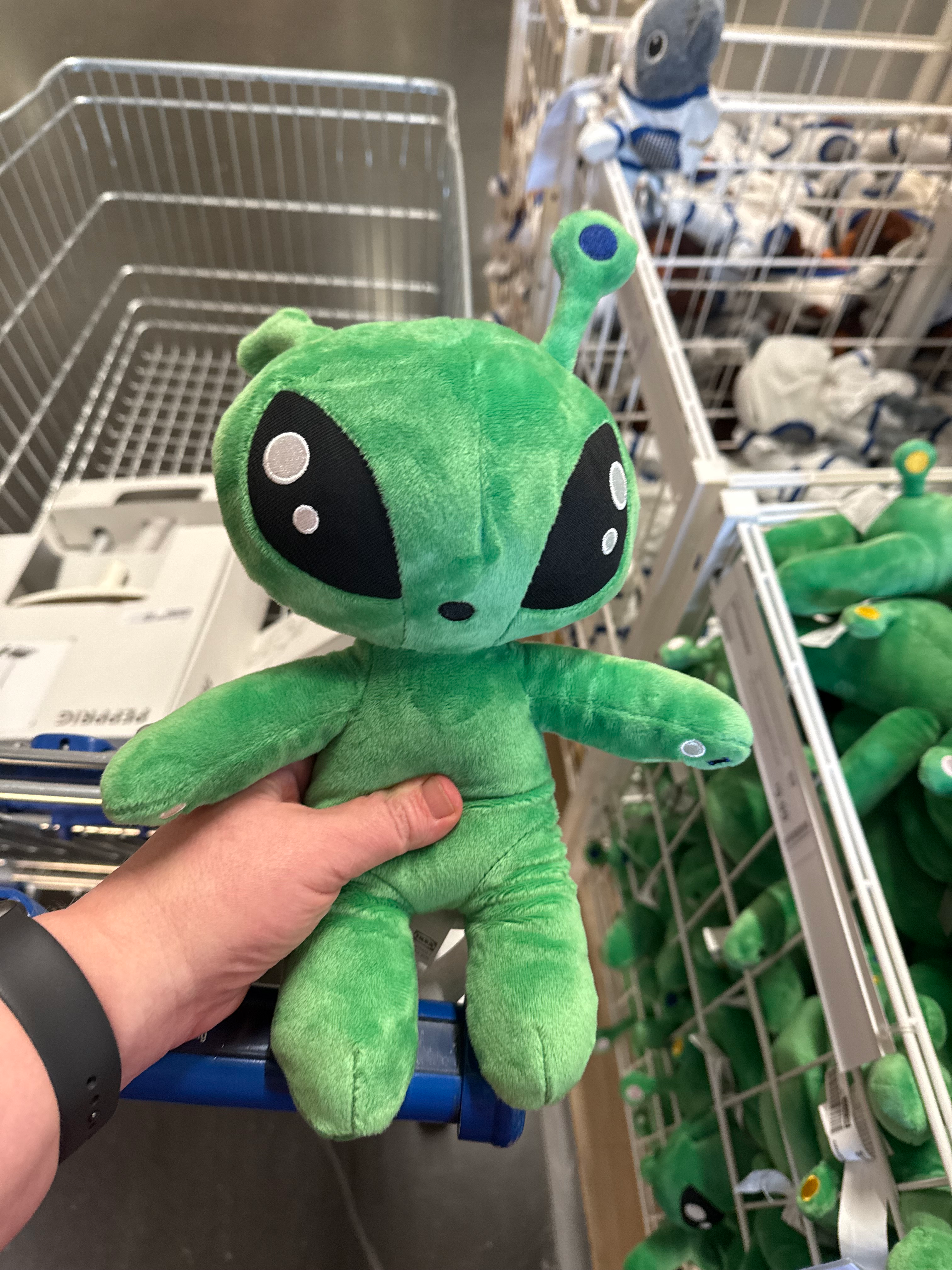 user avatar image for Mousemom