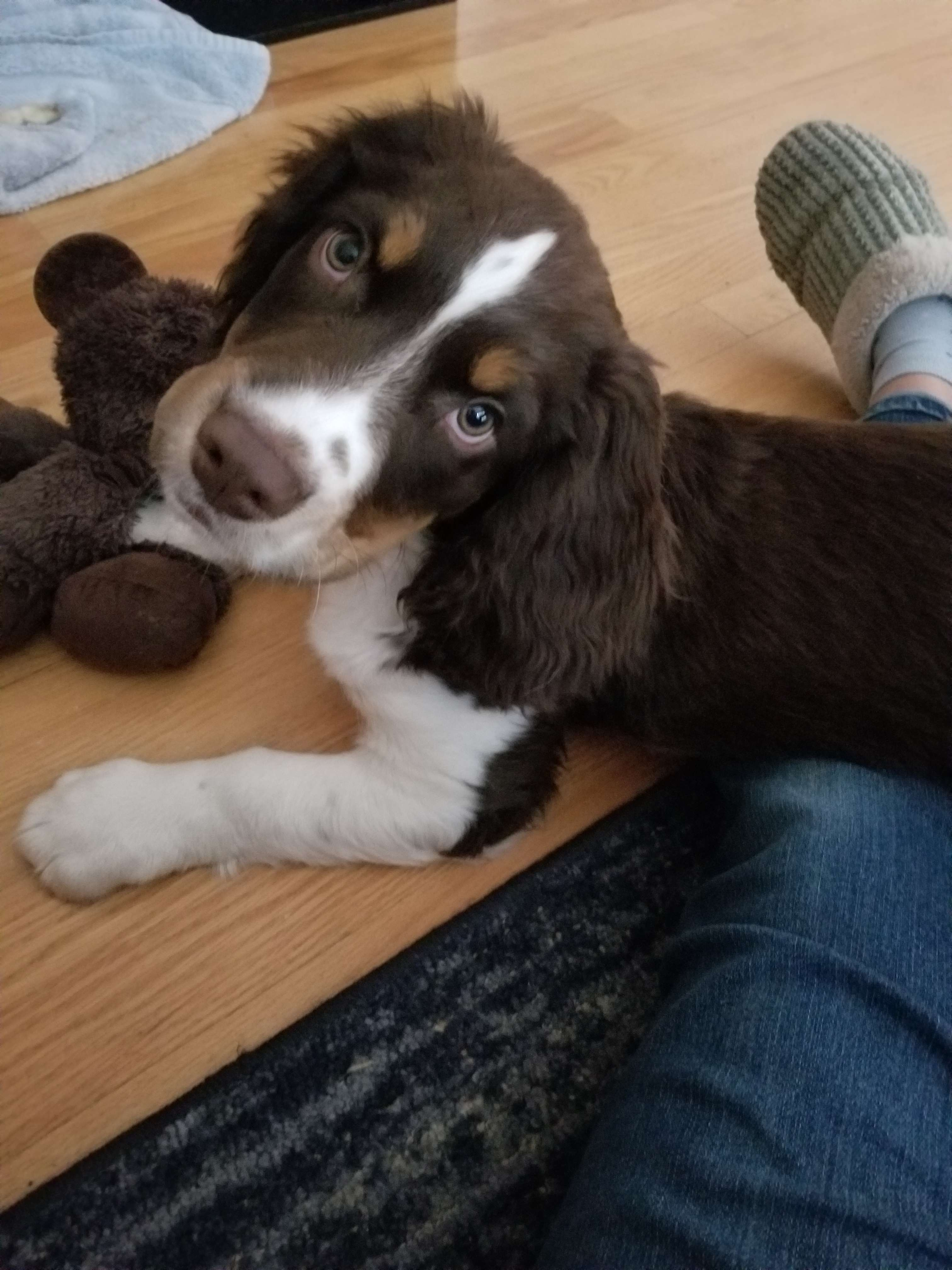 user avatar image for Chelsea