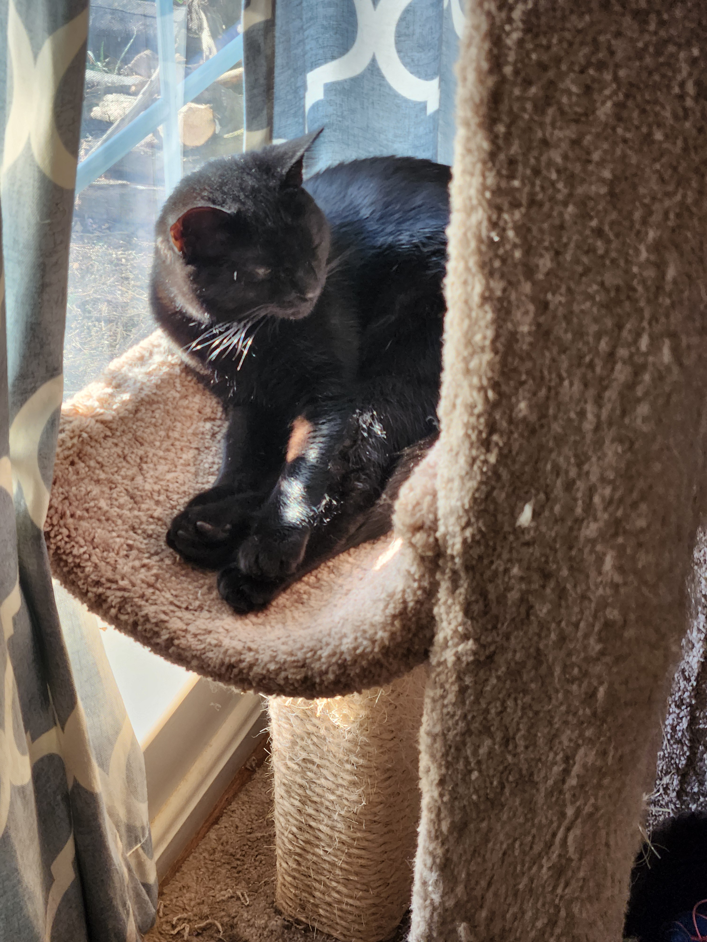 user avatar image for Stephanie H.