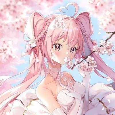 user avatar image for BigDummyGal