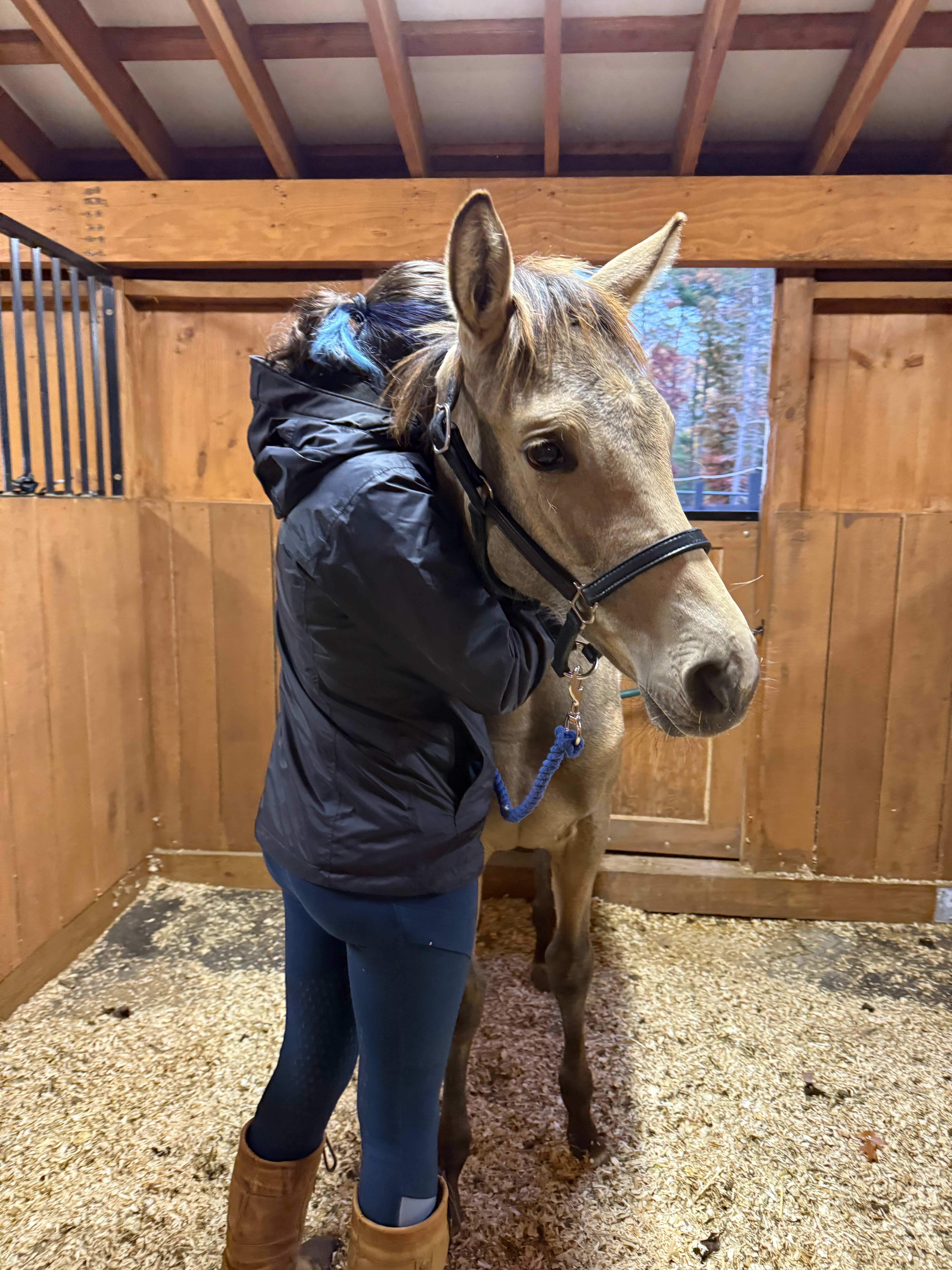 user avatar image for Prayifitsapony