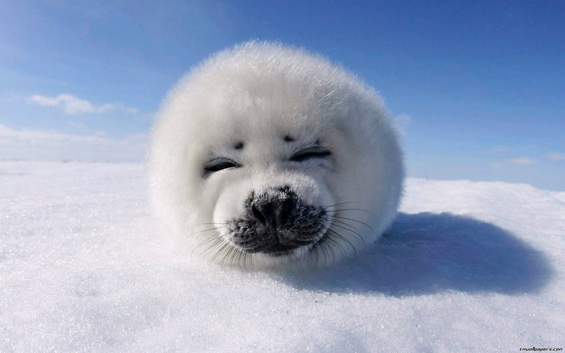 user avatar image for Louic LeBlanc