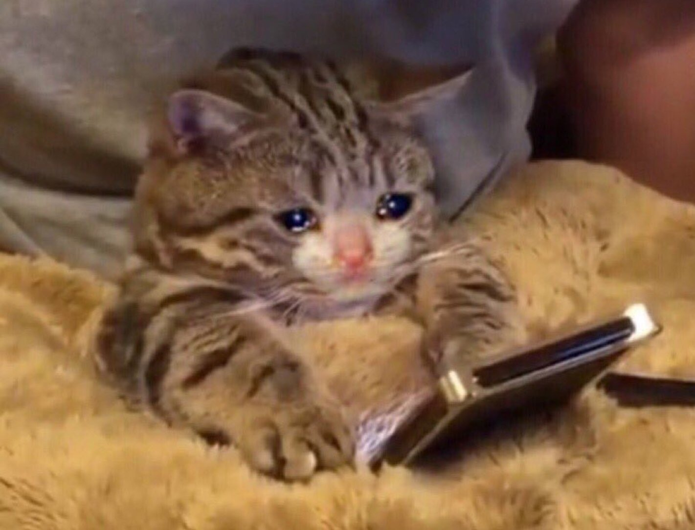 user avatar image for Grace