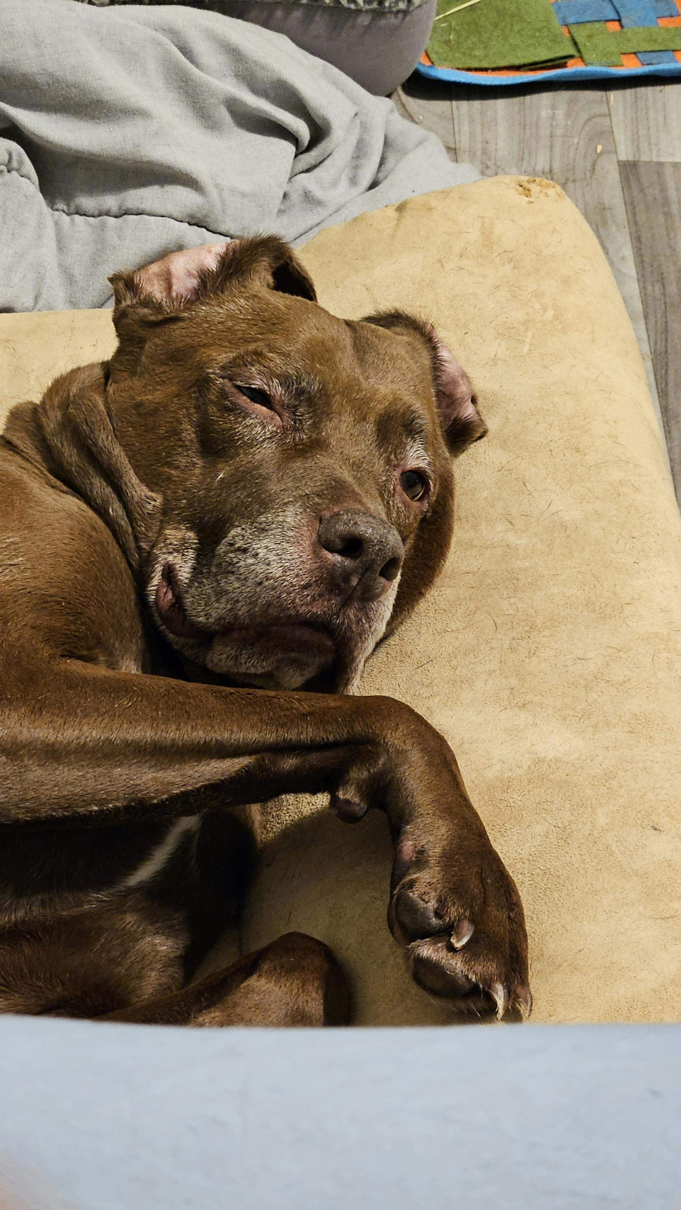 user avatar image for Crystal