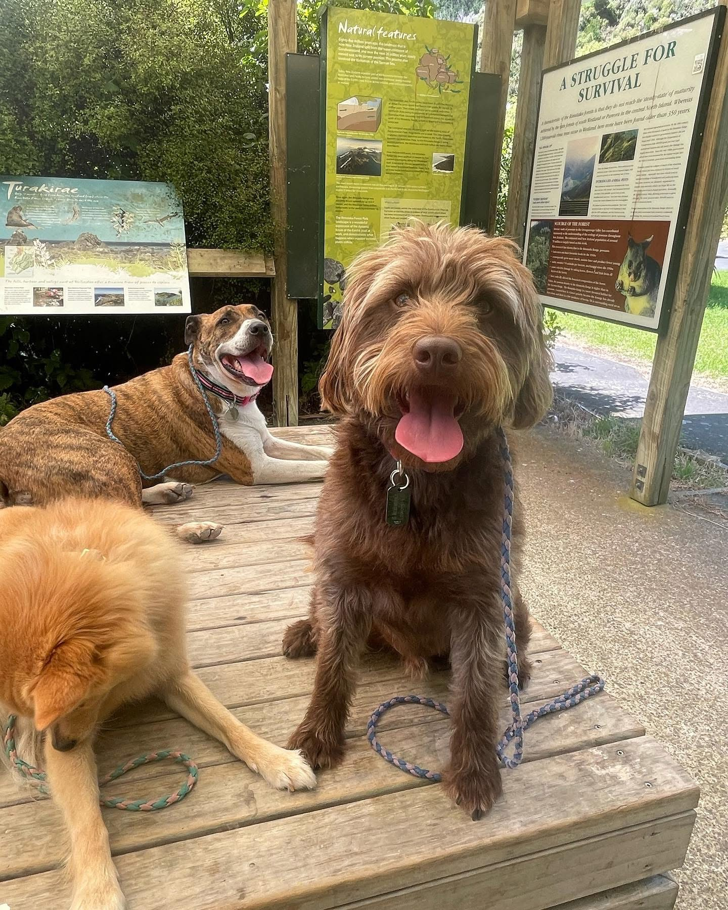 user avatar image for Dr Stu