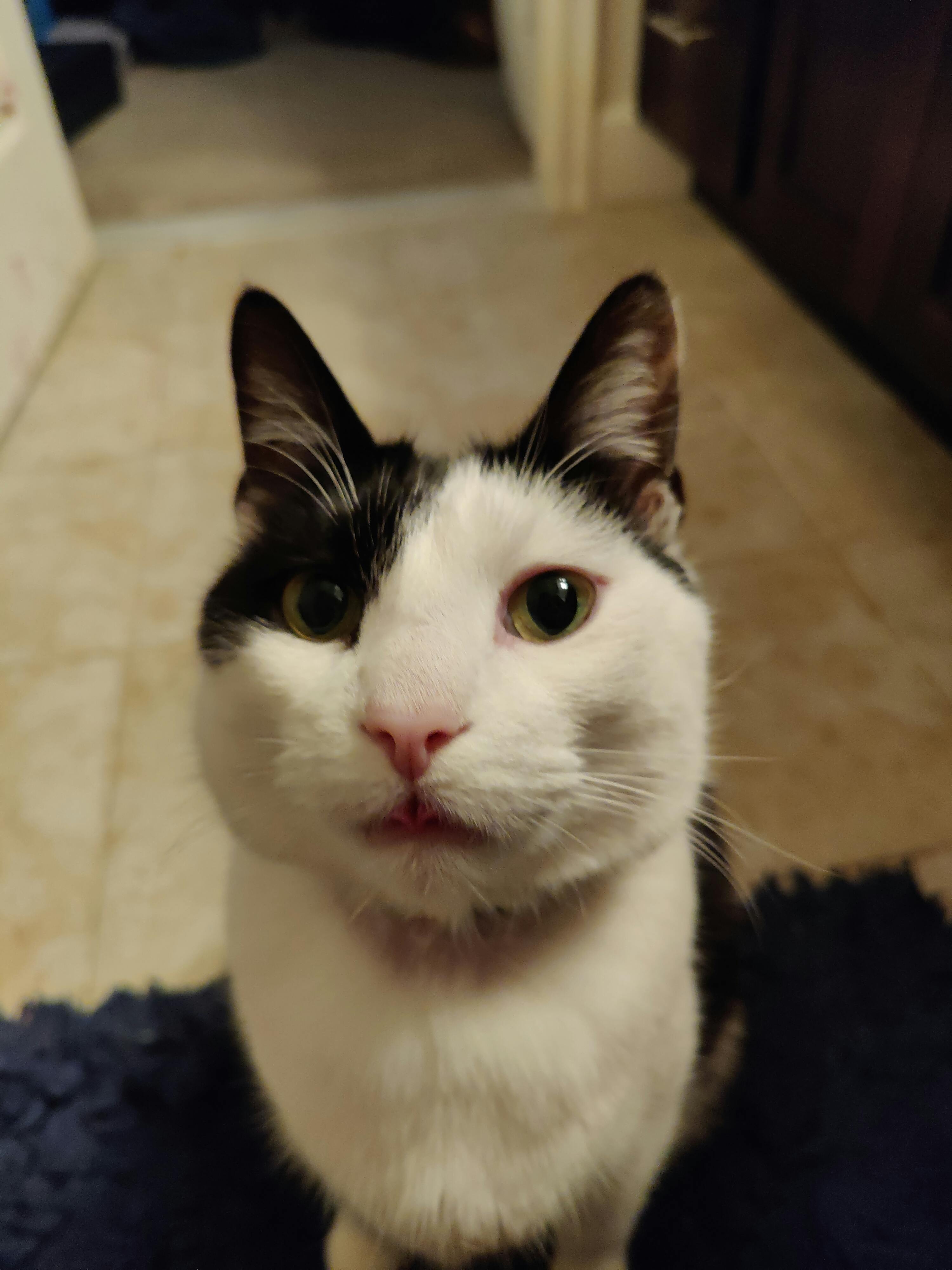 user avatar image for Vee