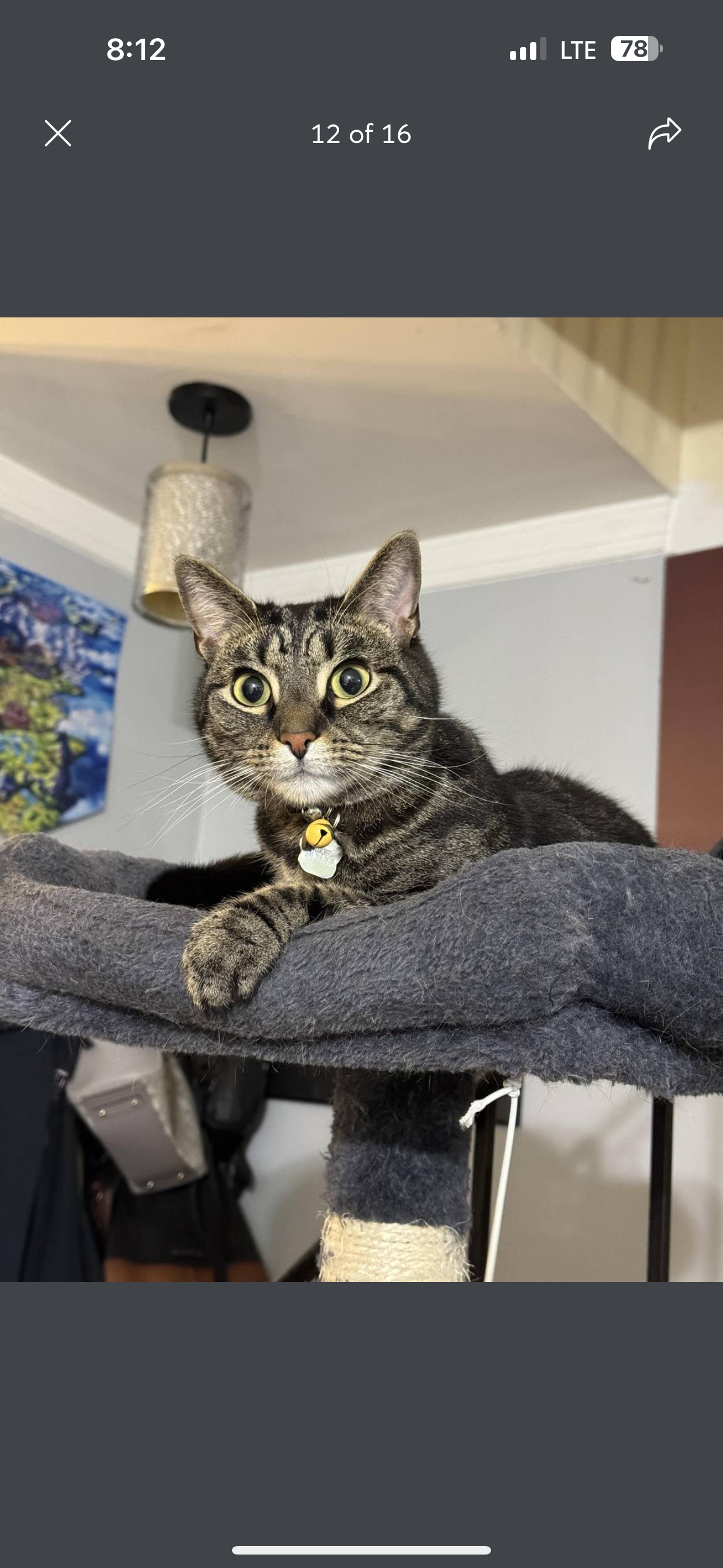 user avatar image for Erica S Mullins