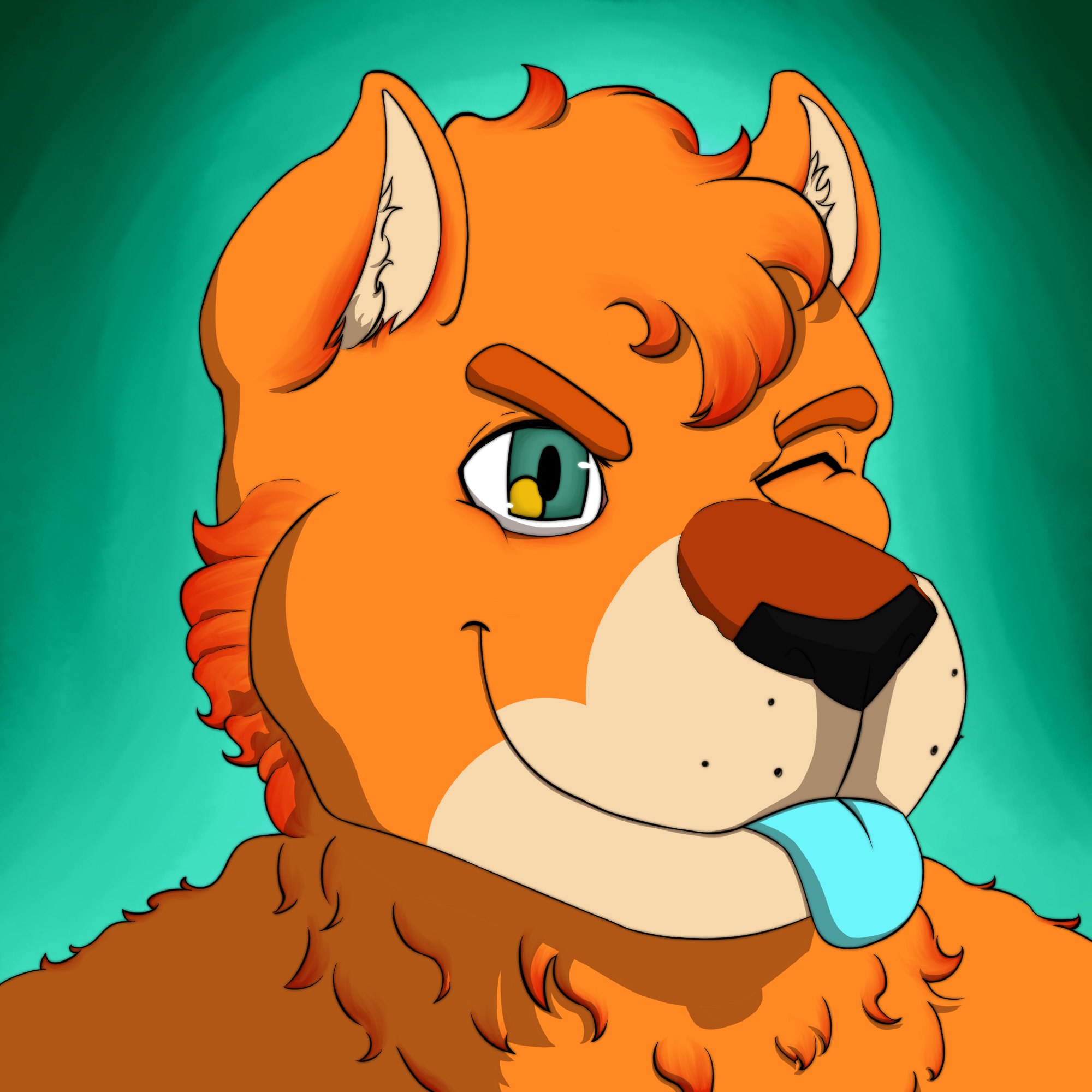 user avatar image for Turbo Mair