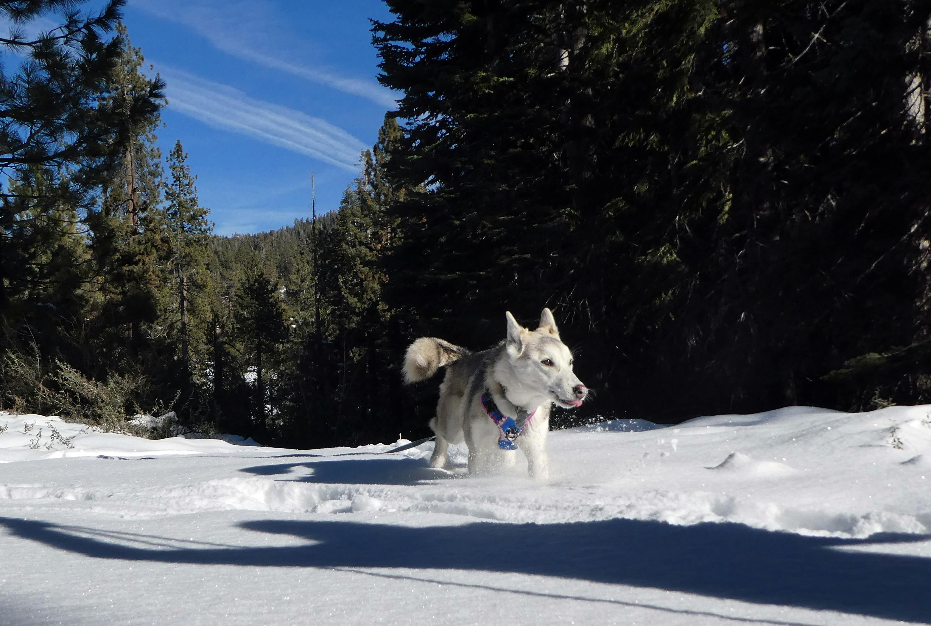 user avatar image for Steven Duran