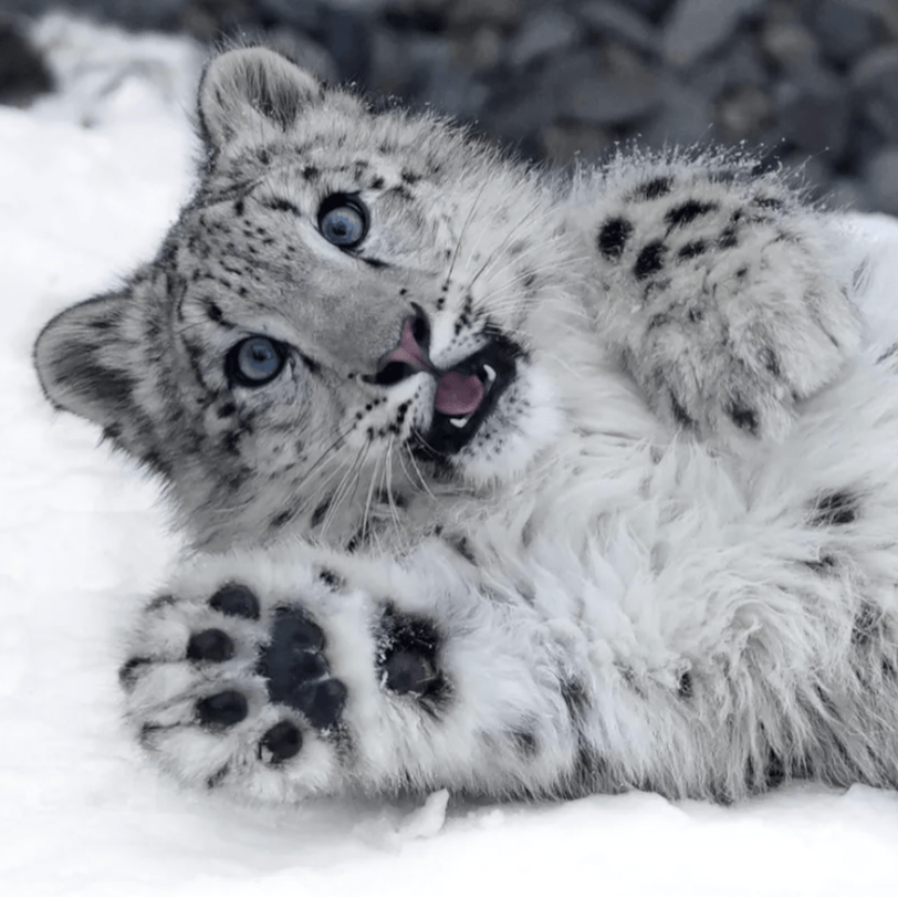 user avatar image for Heaven