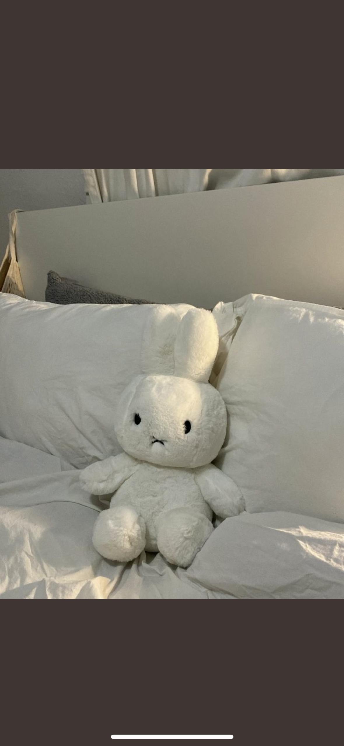 user avatar image for kaleigh 