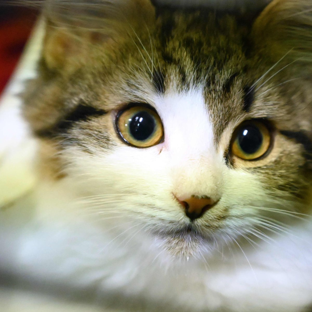 user avatar image for Shawna Bennetts