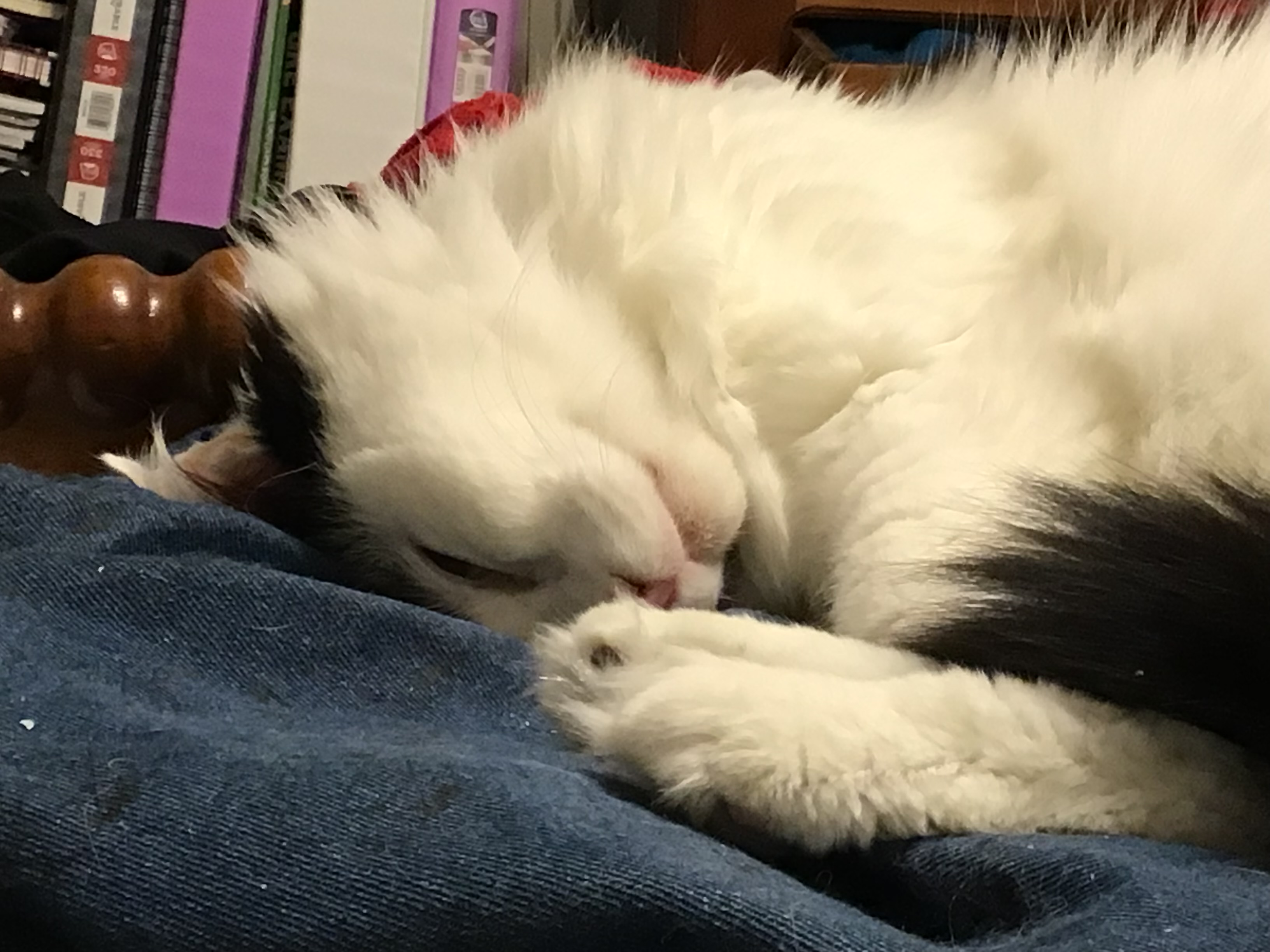 user avatar image for Megan Wimberley